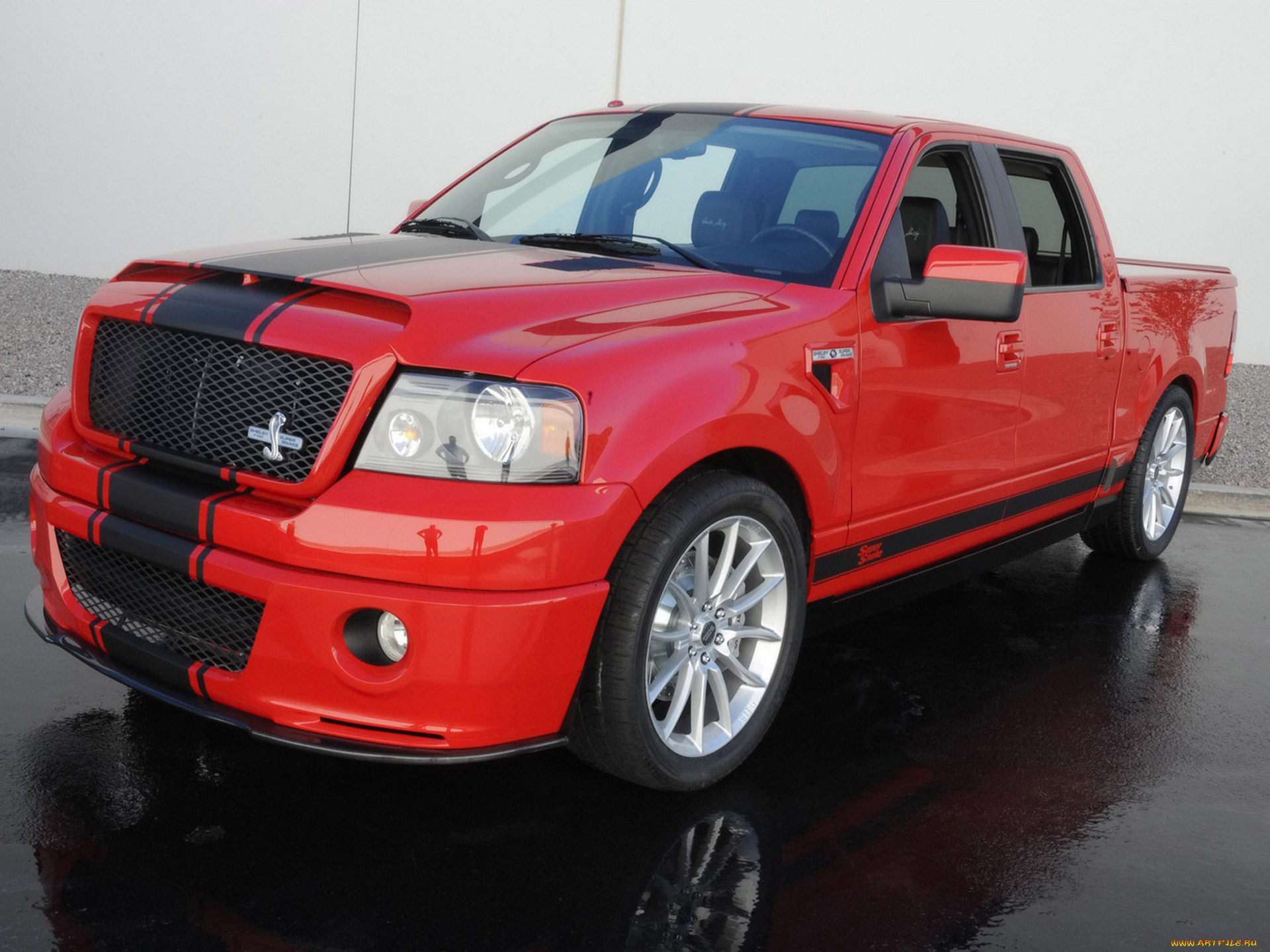 shelby, f-150, super, snake, concept, 2009, автомобили, ford, shelby, f-150, super, snake, concept, 2009