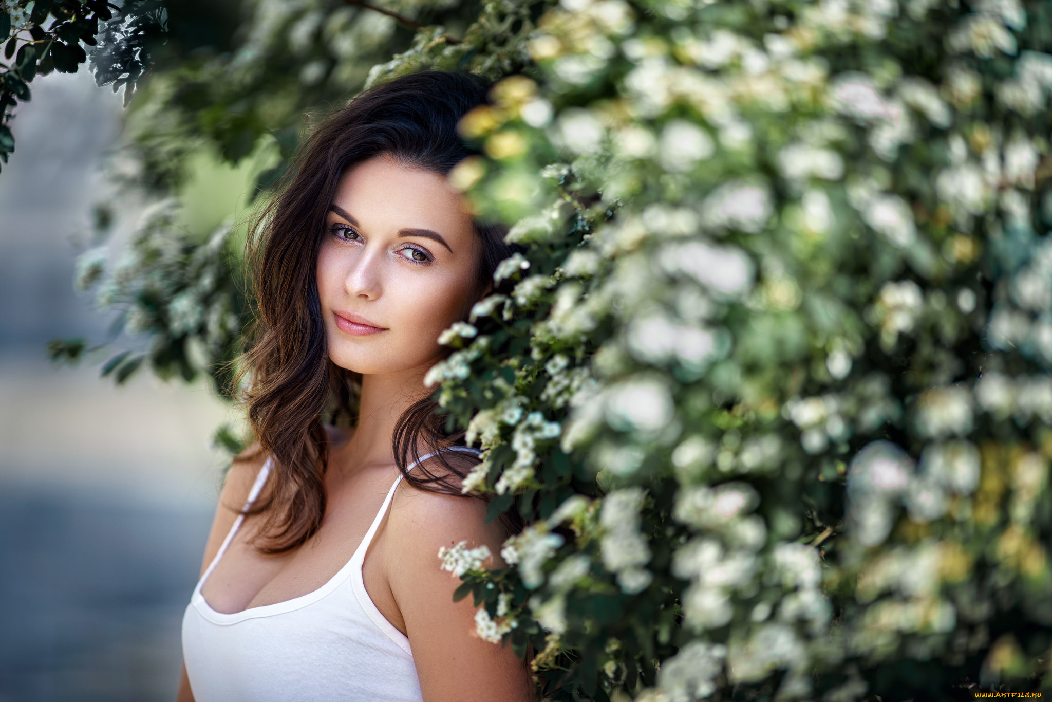 девушки, -unsort, , брюнетки, , шатенки, взгляд, лицо