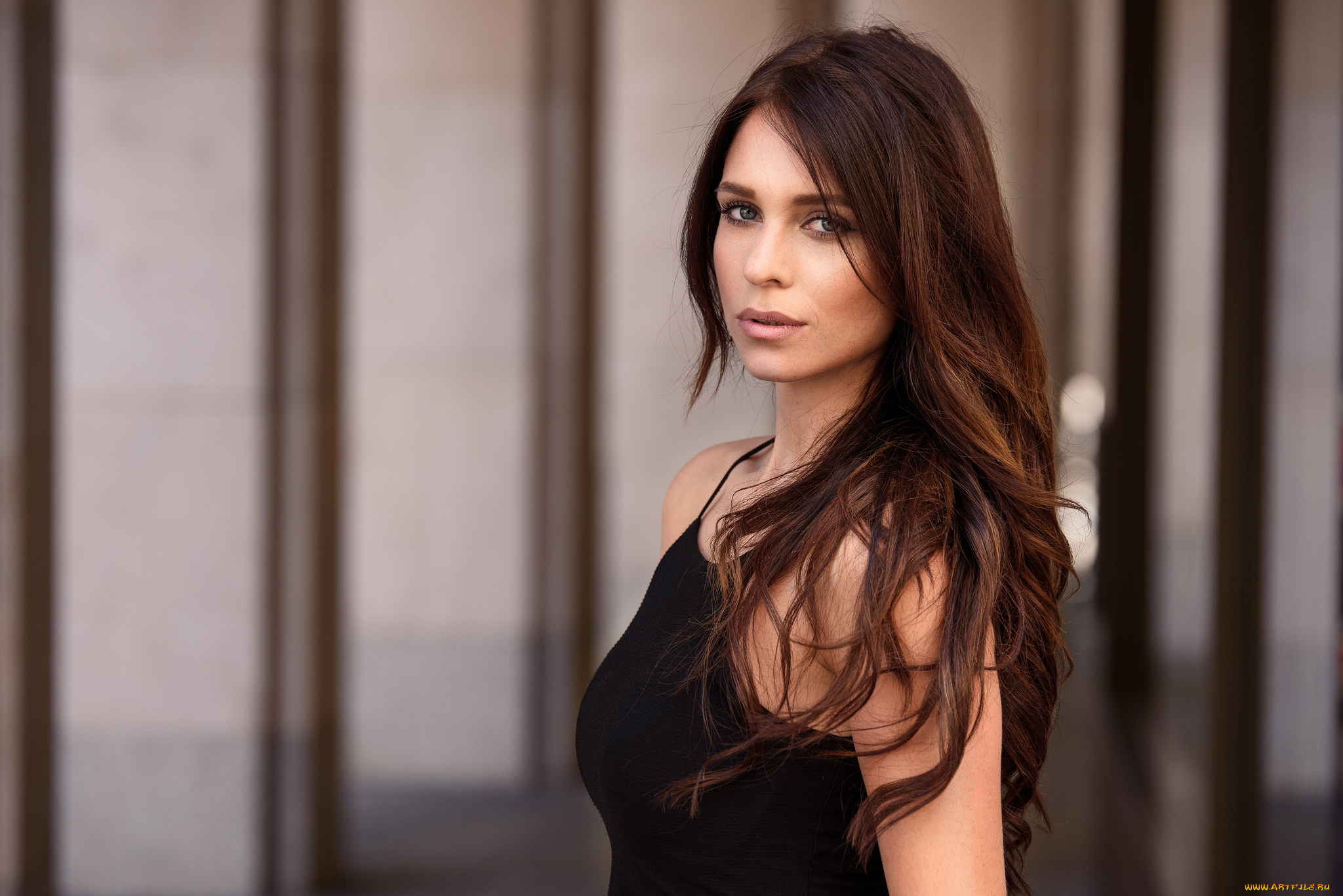 девушки, -unsort, , брюнетки, , шатенки, лицо, взгляд