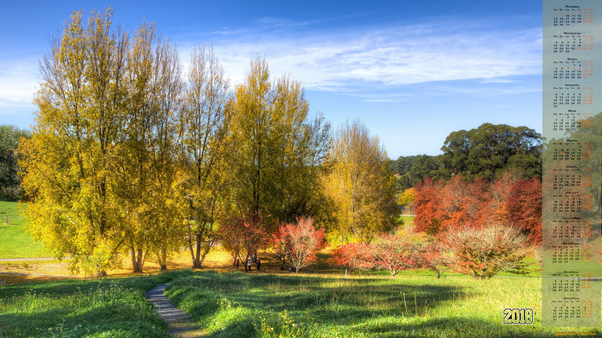календари, природа, деревья, 2018, растения