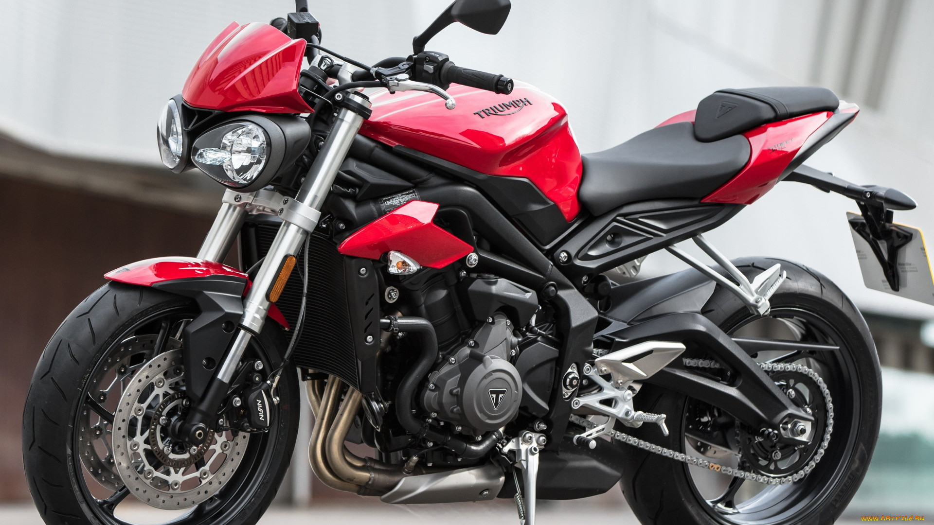 мотоциклы, triumph