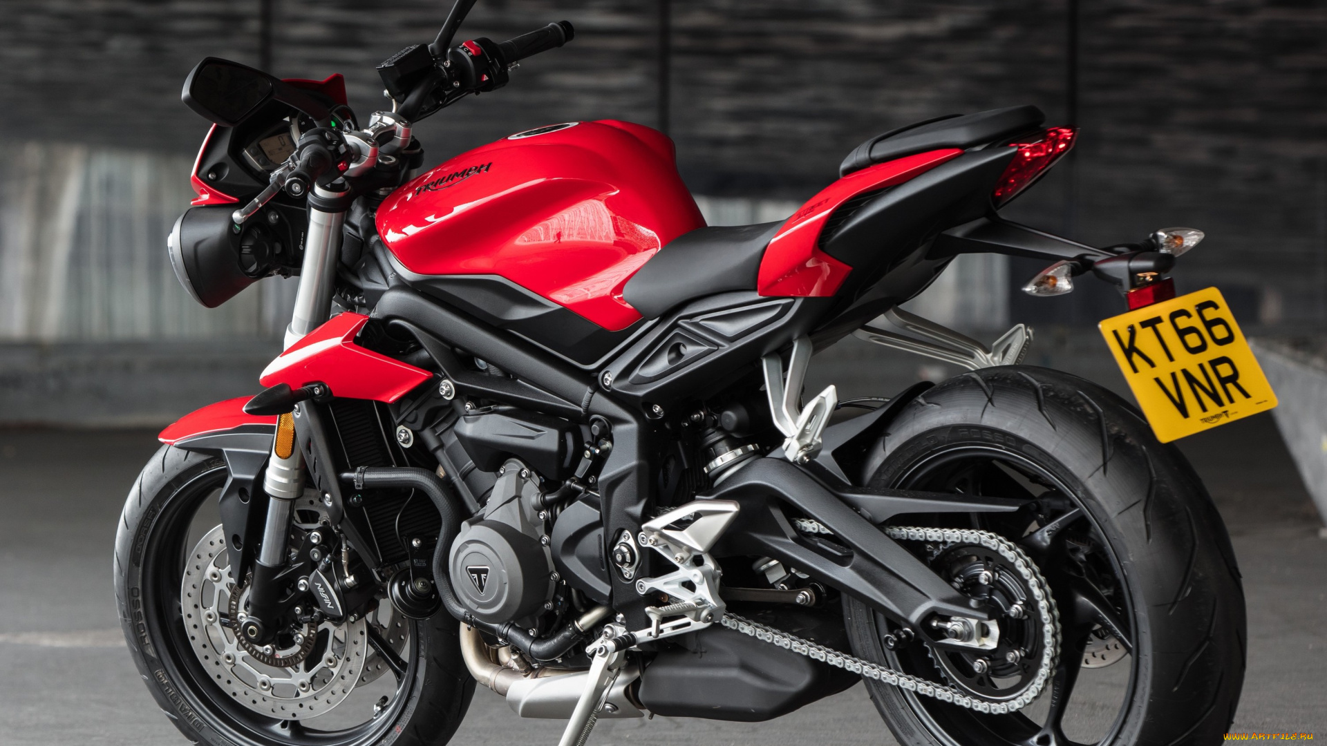 мотоциклы, triumph