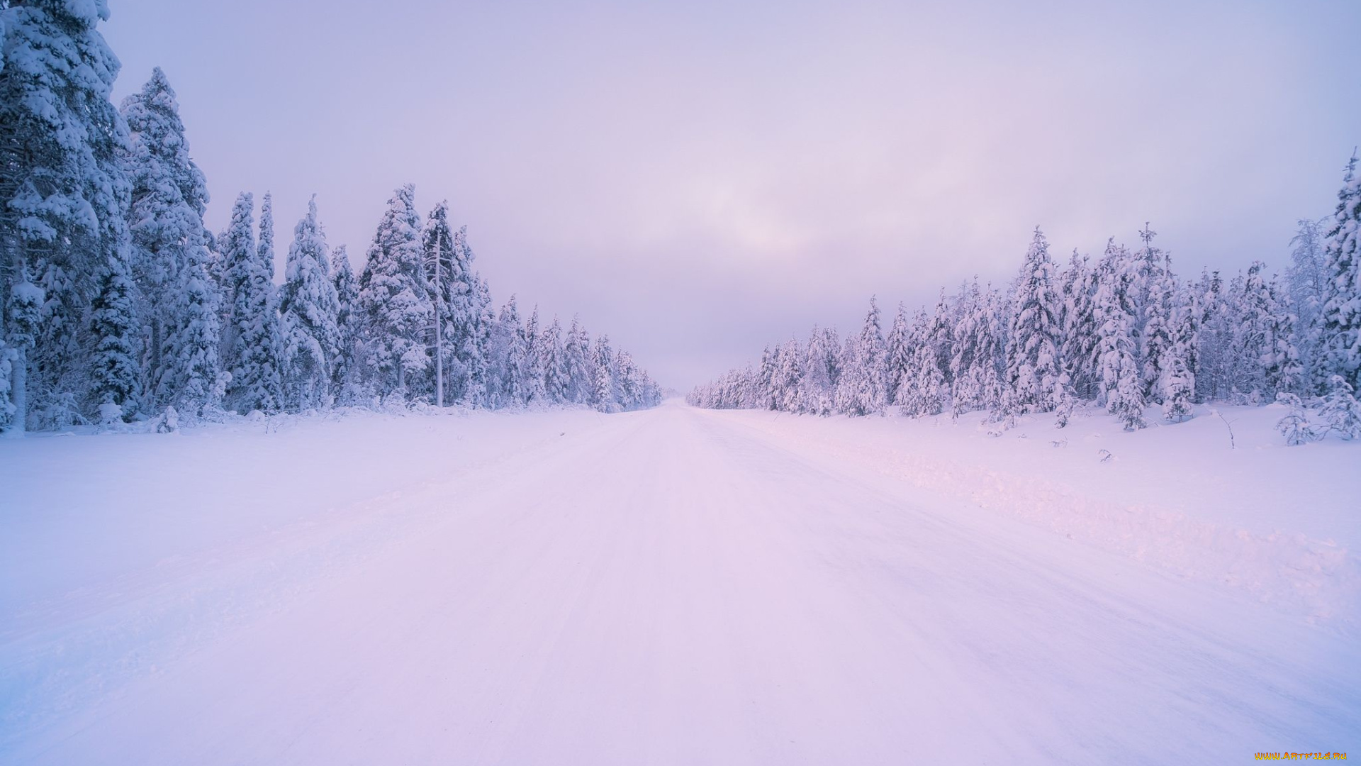 природа, зима, дорога, лес, деревья, пейзаж