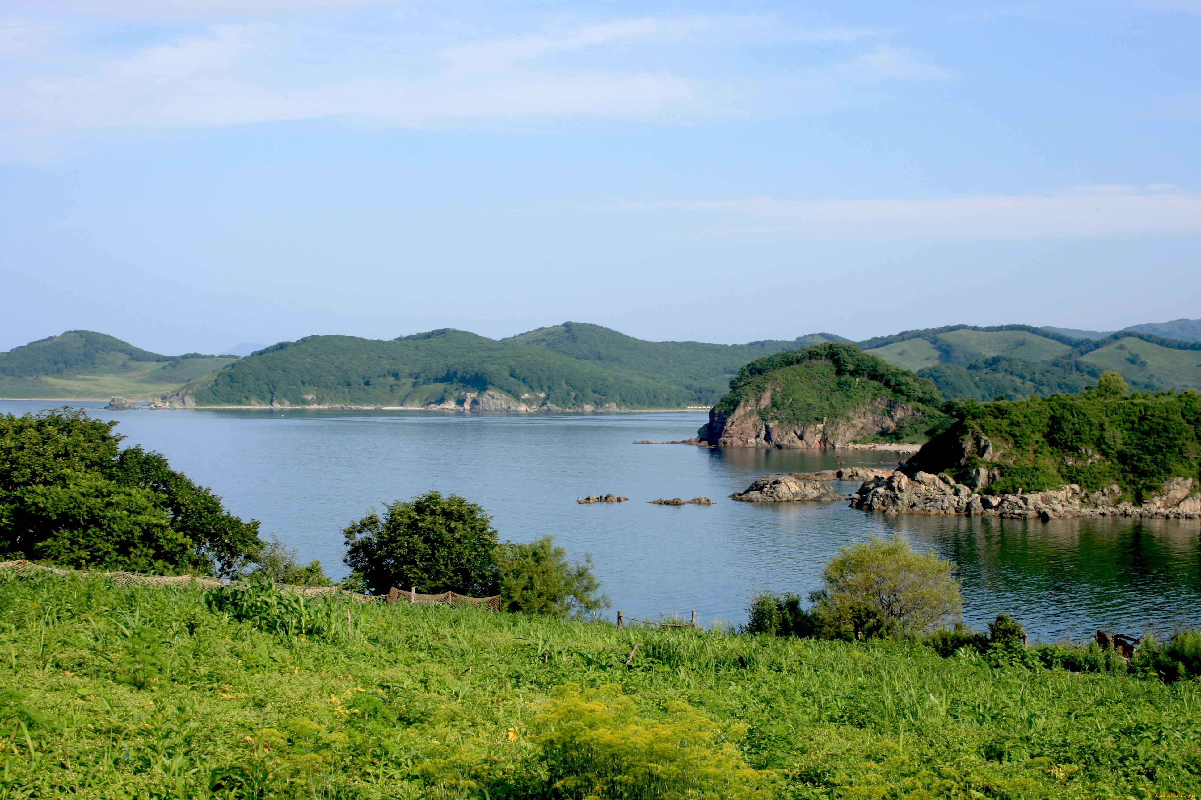 бухта, анна, природа, побережье, бухта, анна, приморье, россия