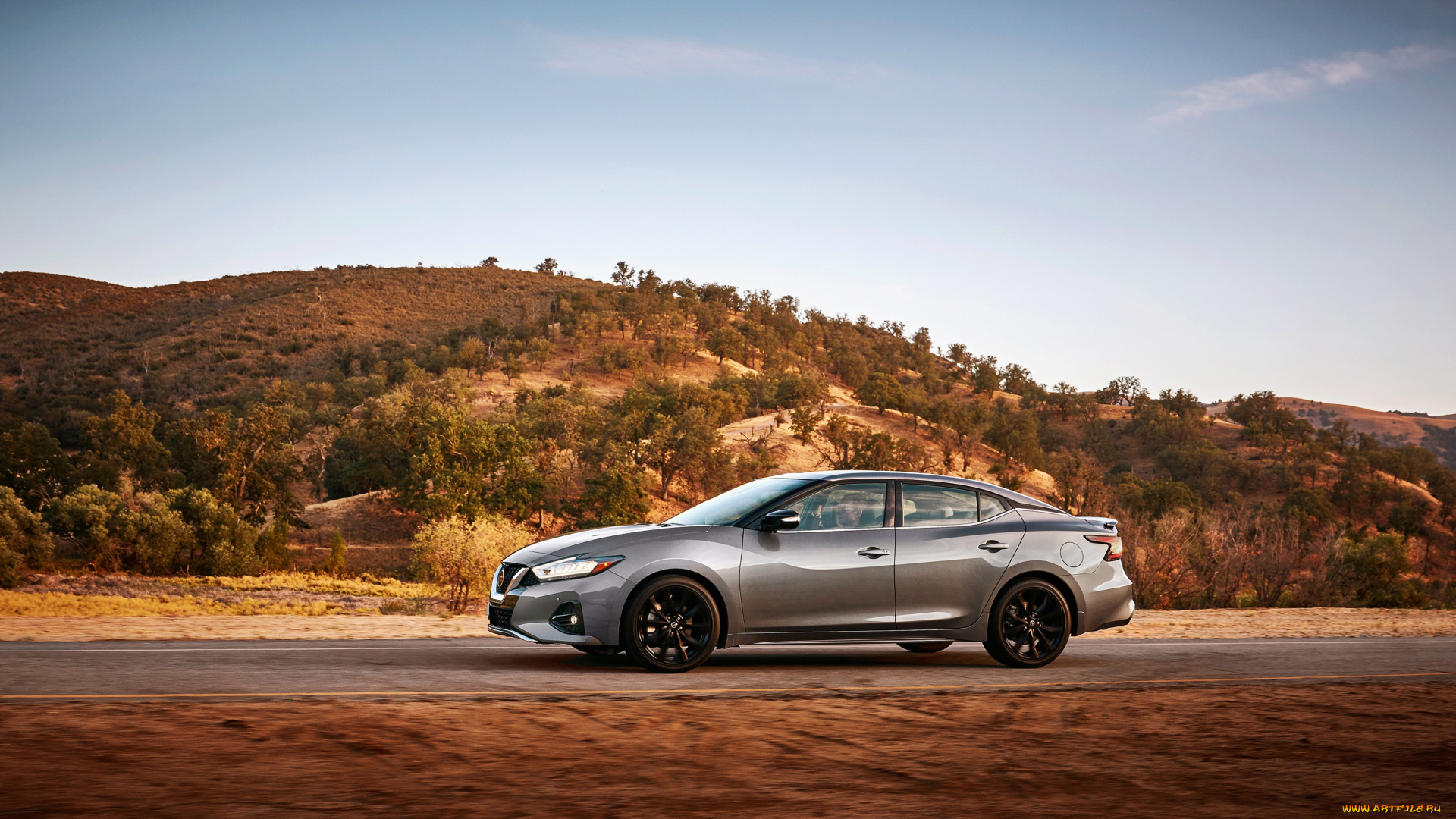 автомобили, nissan, datsun