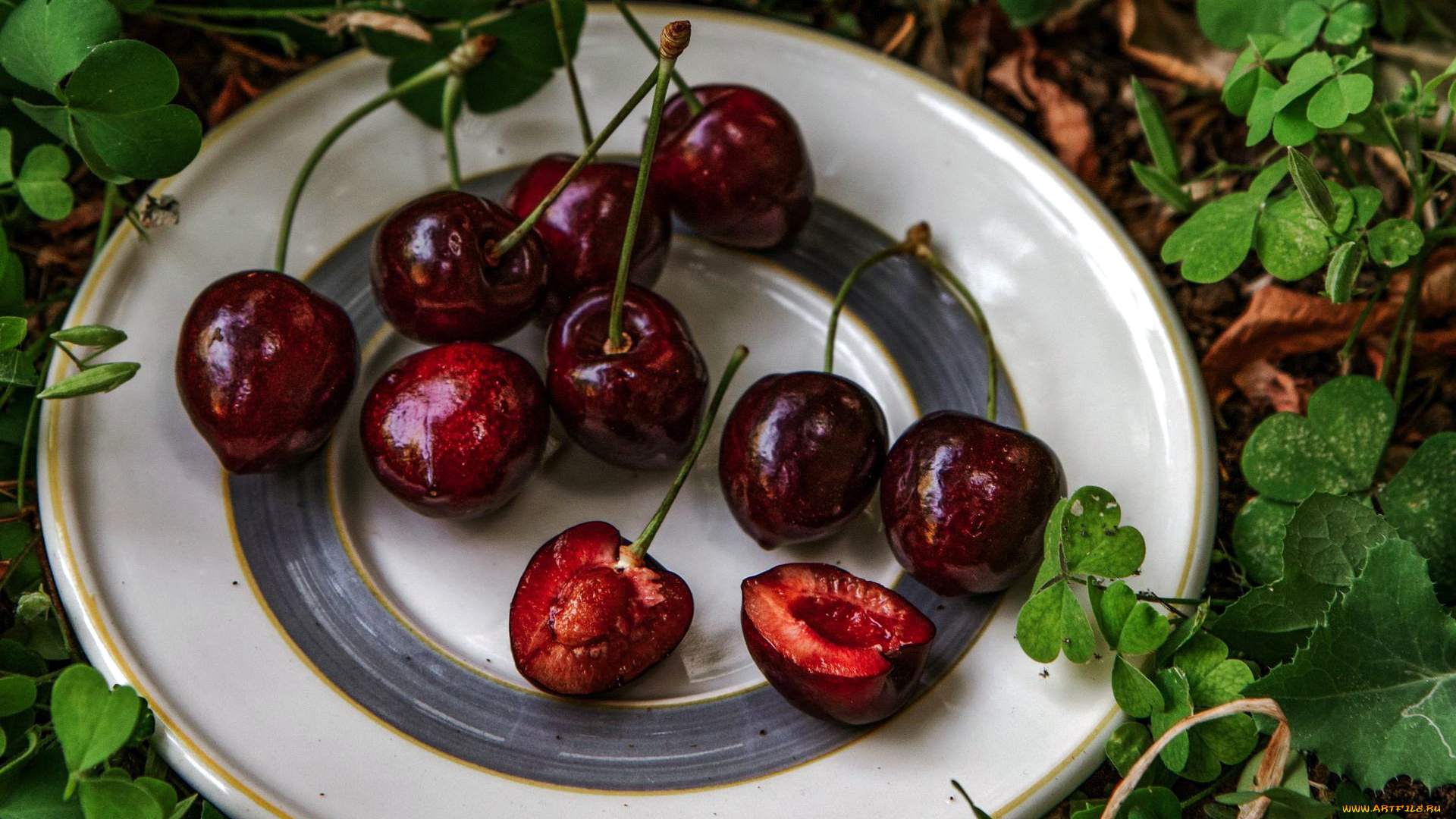 еда, вишня, , черешня, ягоды, вишни, миска