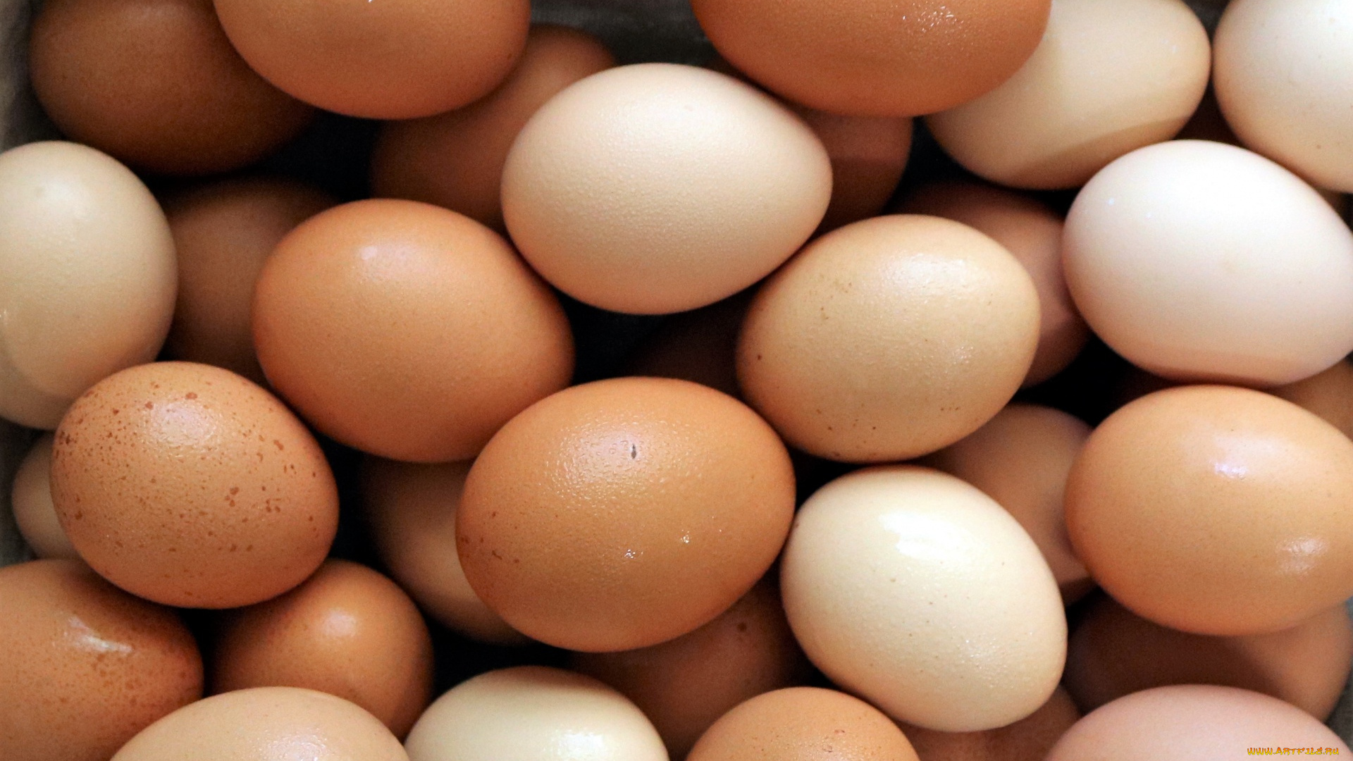 еда, яйца, свежие