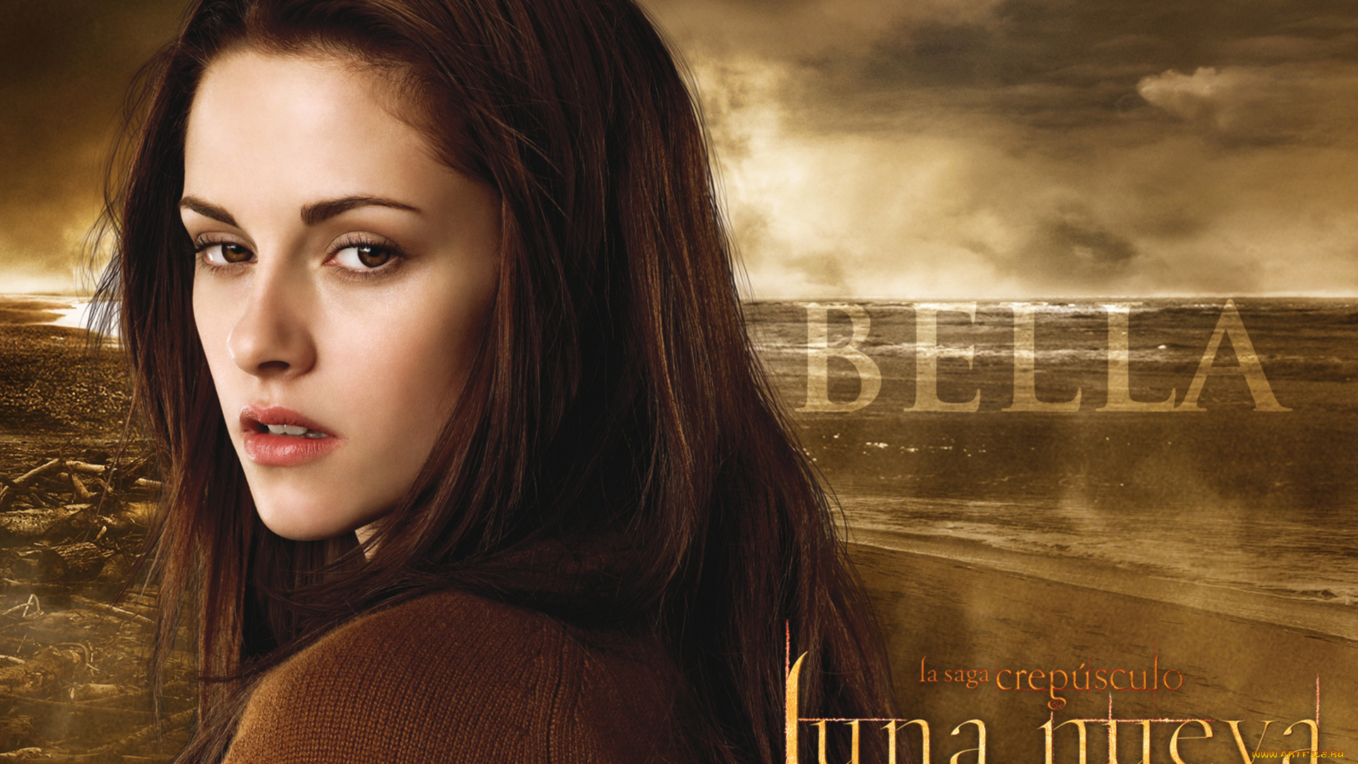 кино, фильмы, the, twilight, saga, , new, moon, белла, лицо