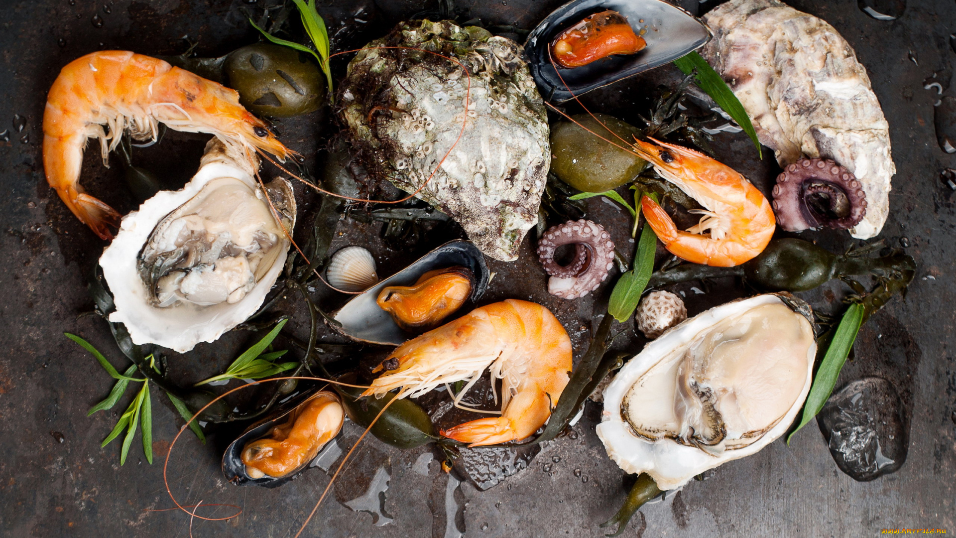 еда, рыба, , морепродукты, , суши, , роллы, устрицы, мидии, креветки