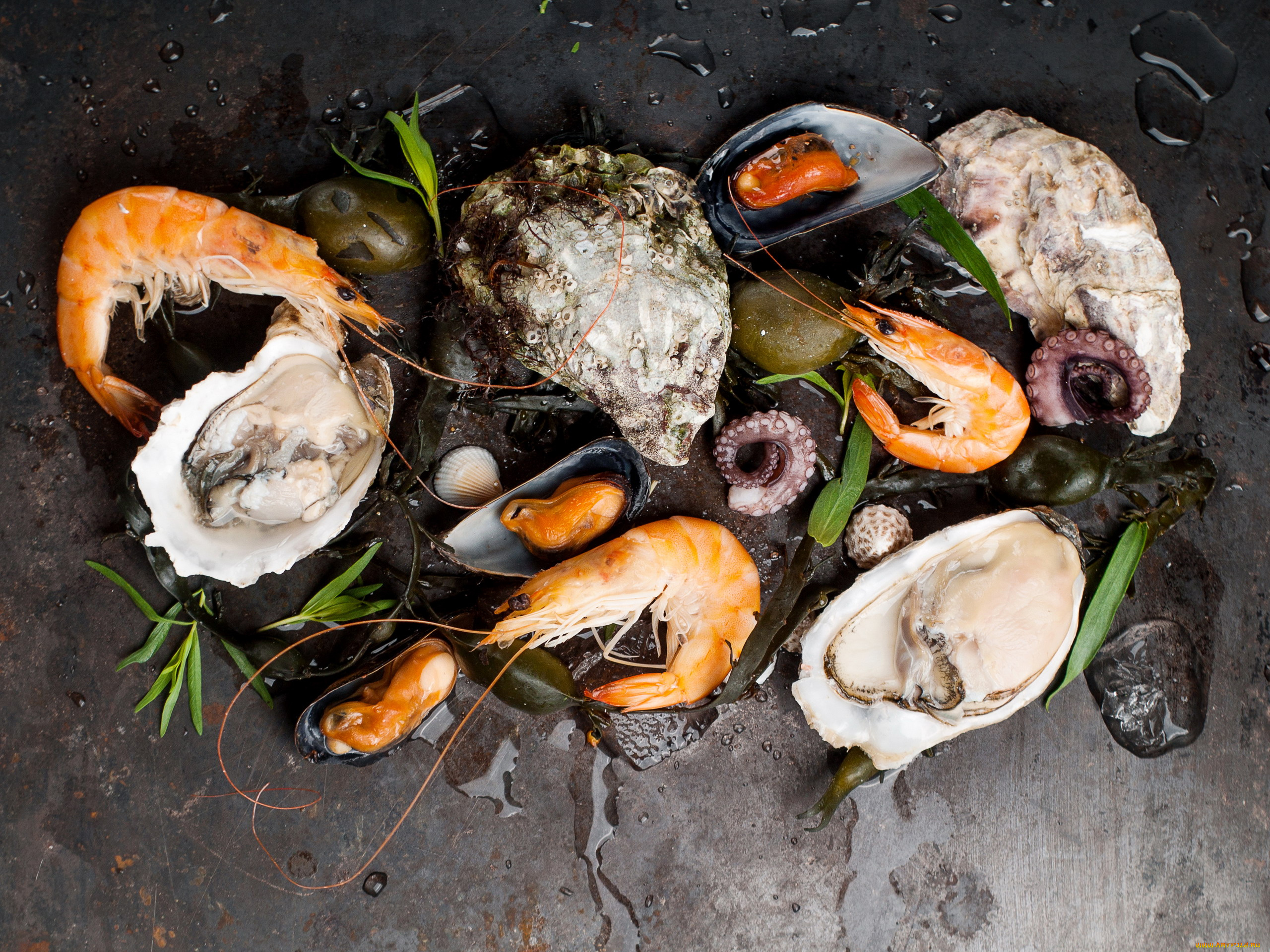 еда, рыба, , морепродукты, , суши, , роллы, устрицы, мидии, креветки