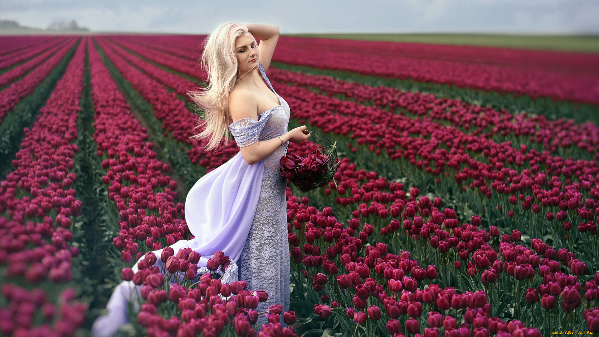 девушки, -, блондинки, , светловолосые, девушка