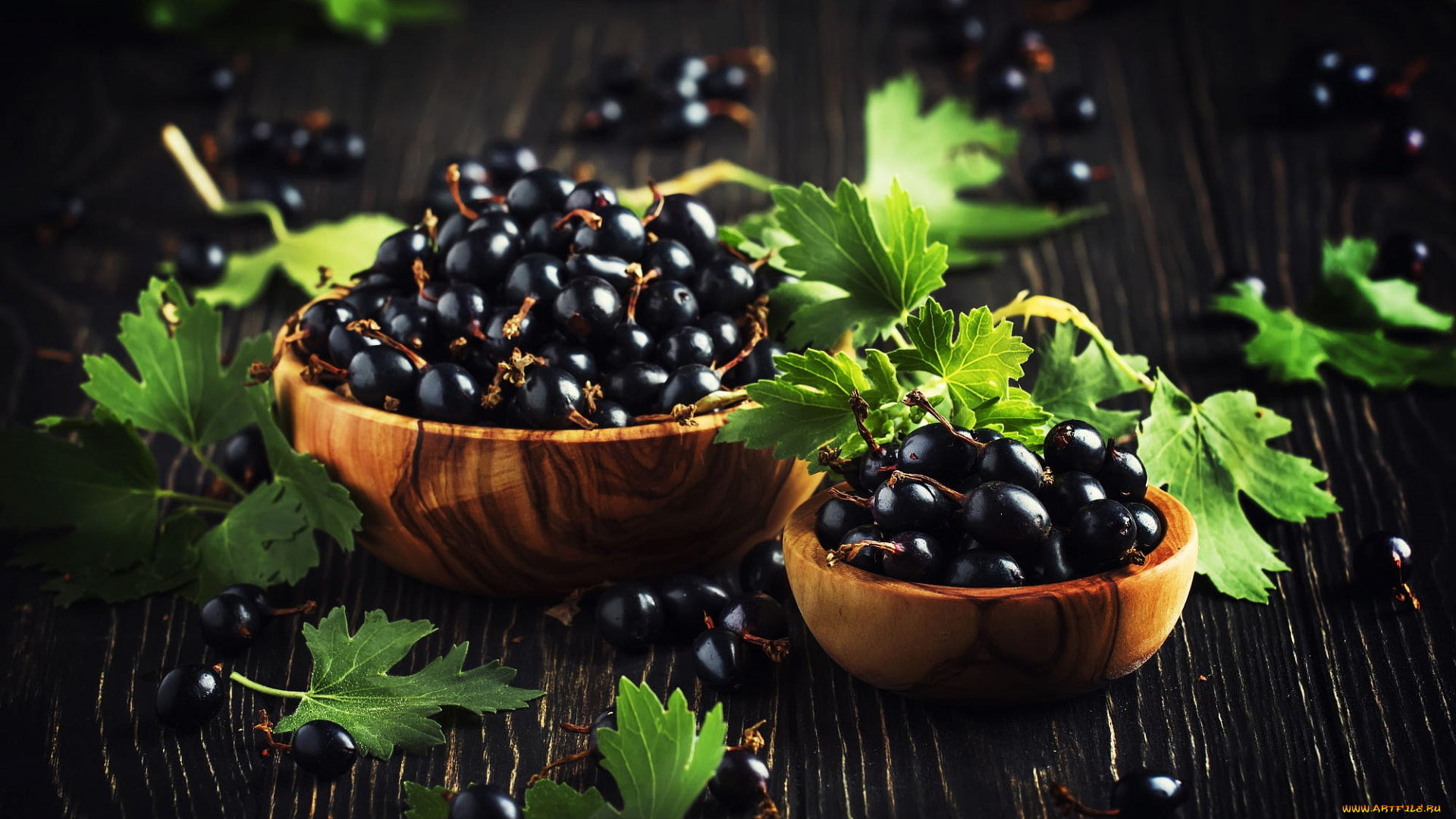 еда, смородина, ягоды