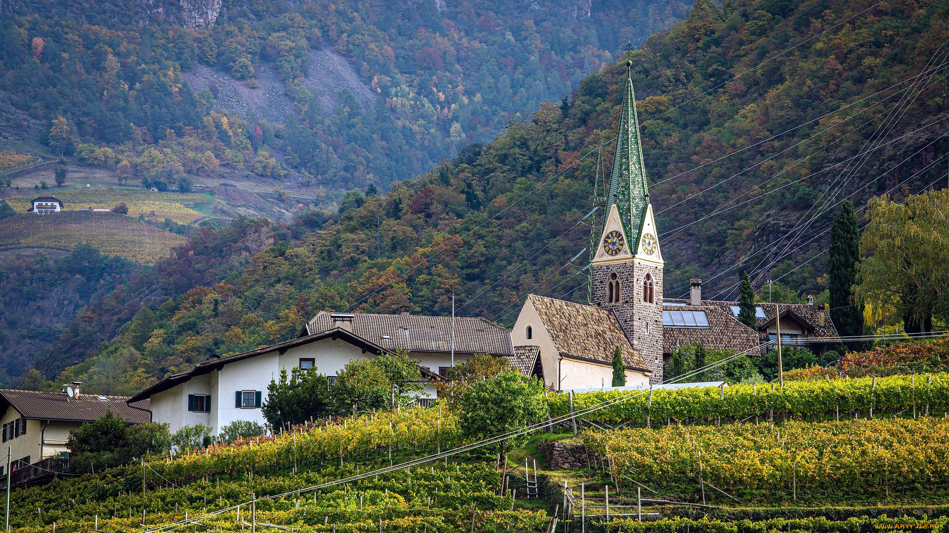 города, -, католические, соборы, , костелы, , аббатства, горы, виноградники, костел