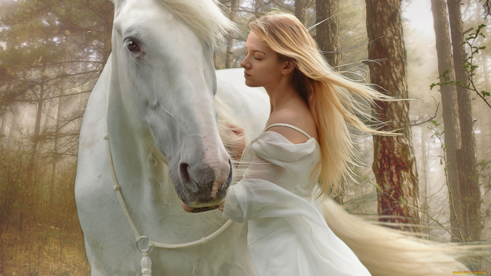 комп, , дизайн, разное, компьютерный, дизайн, девушка