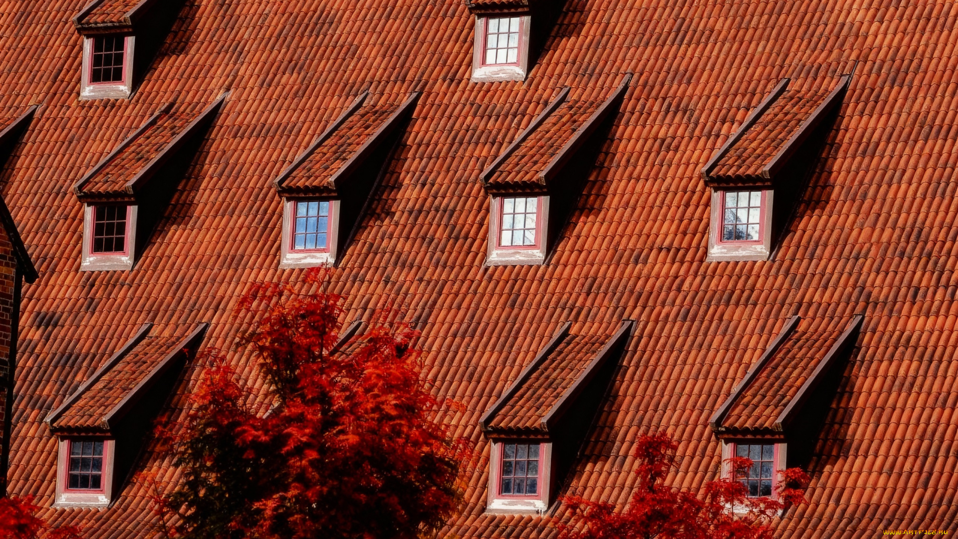 разное, элементы, архитектуры, крыша