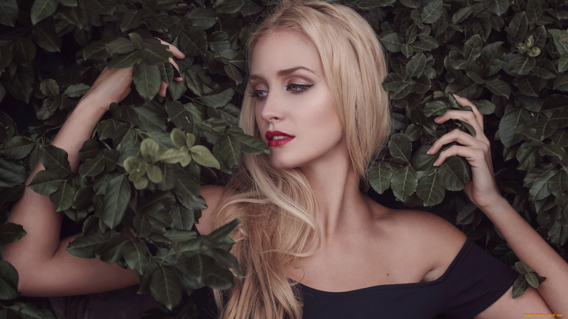 сексуальная, девушка, девушки, -, лица, , портреты, девушка, женщина, блондинка, светловолосая, сексуальная, модель, звезда, позирует, разная, обувь, верхняя, стильная, одежда, нижнее, эротическое, бельё, трусы, лифчик, колготки, чулки, аксессуары, макияж, и, множество, элементов, на, фотографии