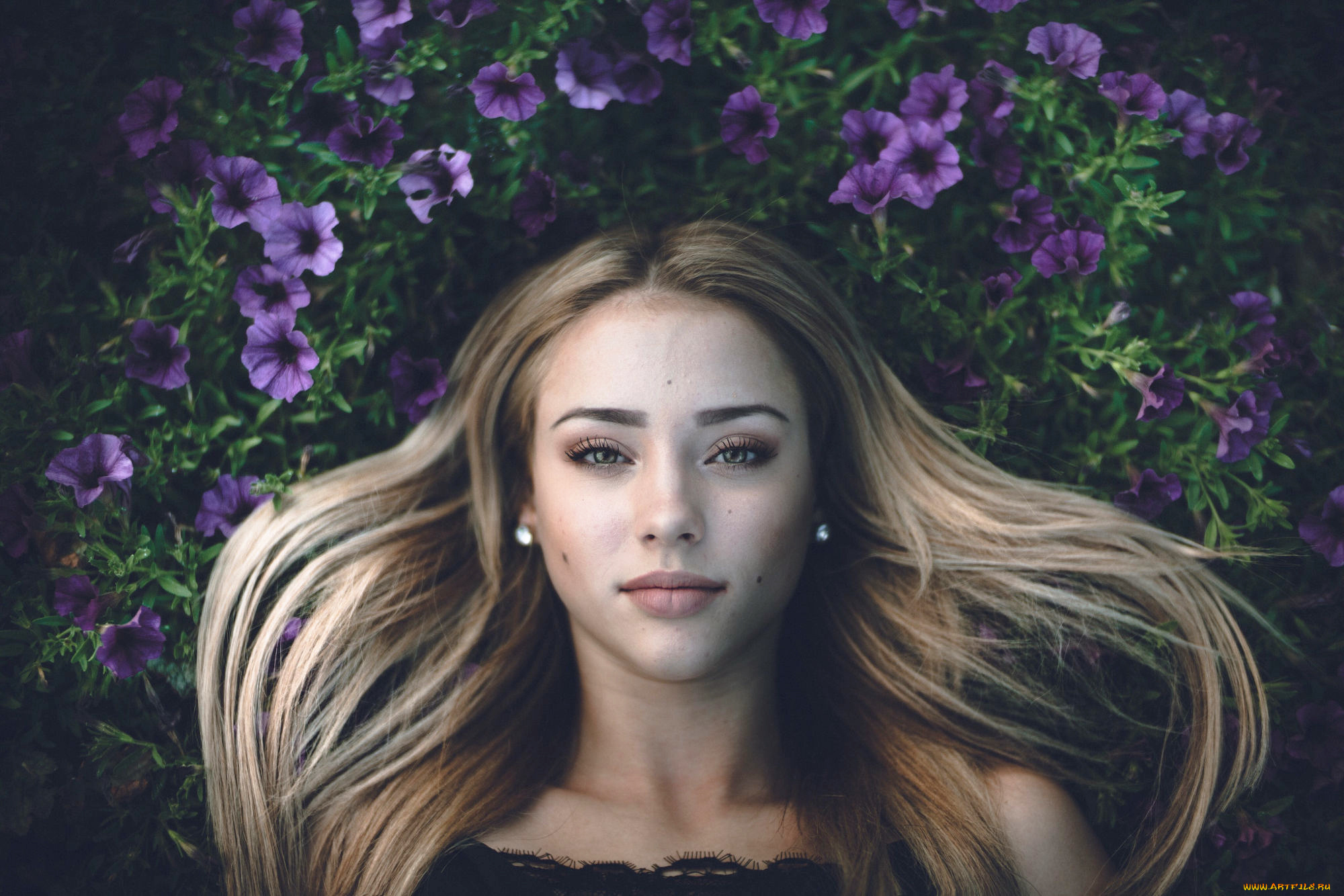 девушки, -, лица, , портреты, девушка