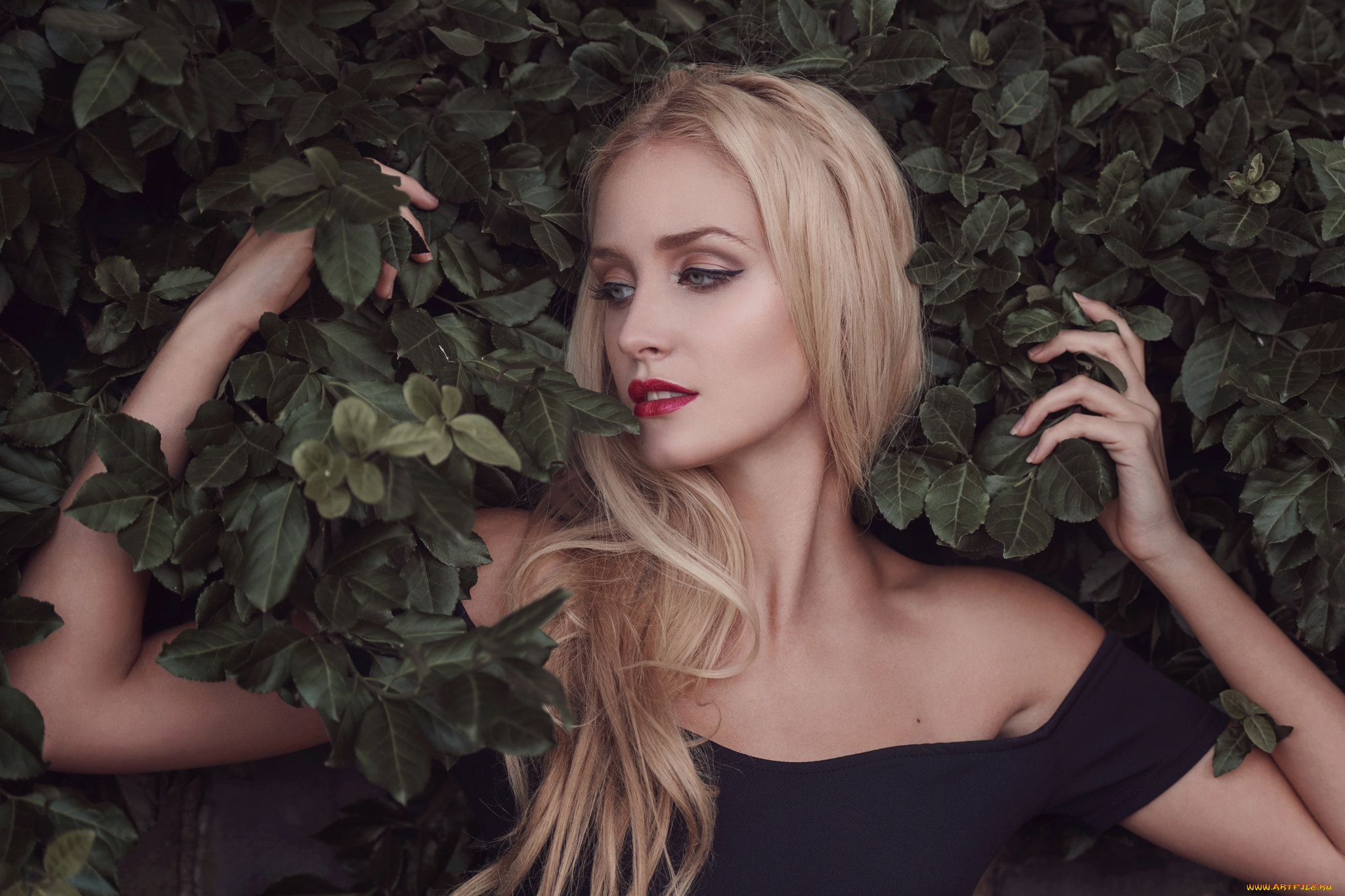 сексуальная, девушка, девушки, -, лица, , портреты, девушка, женщина, блондинка, светловолосая, сексуальная, модель, звезда, позирует, разная, обувь, верхняя, стильная, одежда, нижнее, эротическое, бельё, трусы, лифчик, колготки, чулки, аксессуары, макияж, и, множество, элементов, на, фотографии