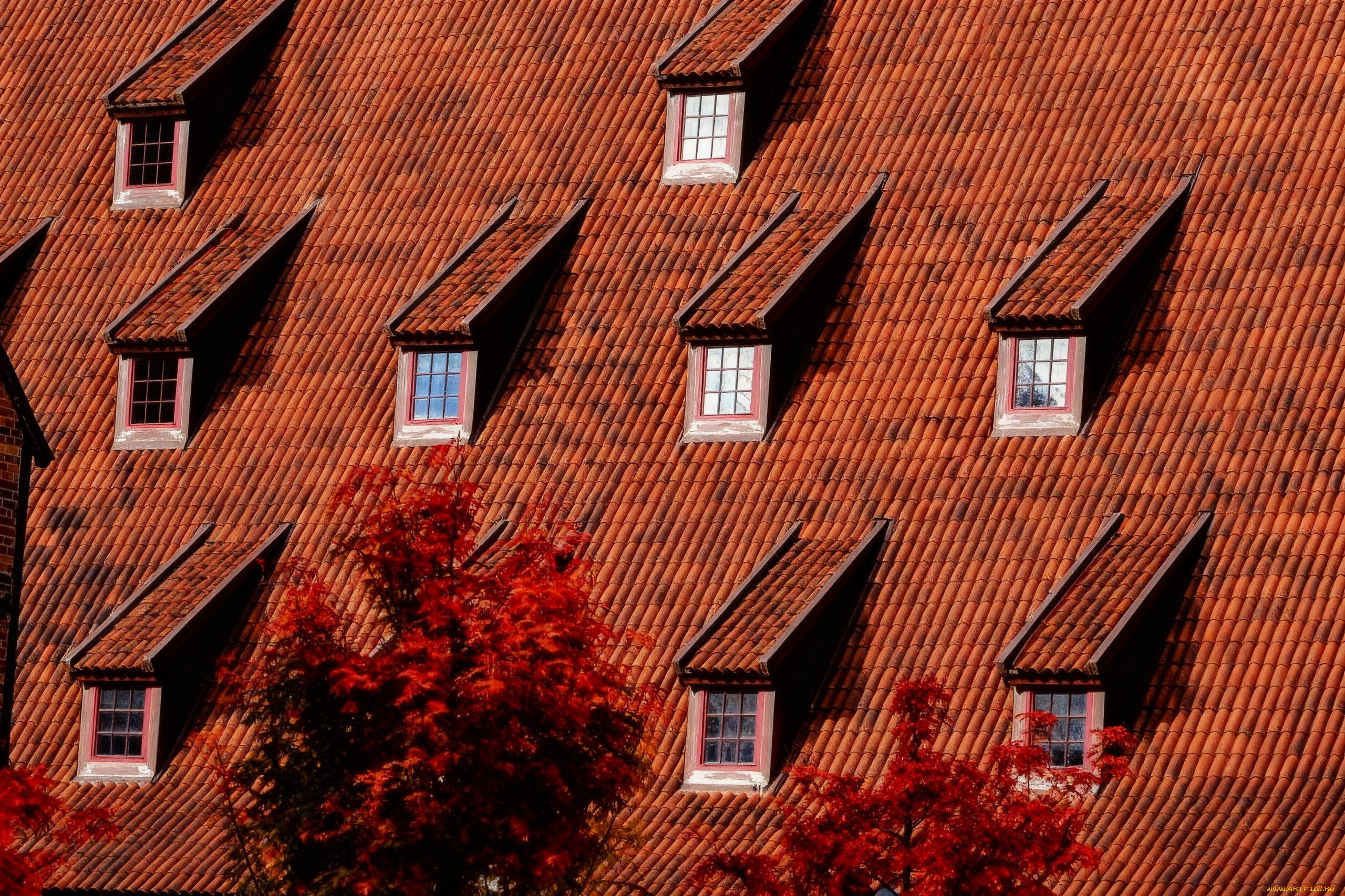 разное, элементы, архитектуры, крыша