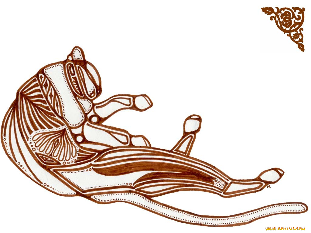 рисованные, минимализм