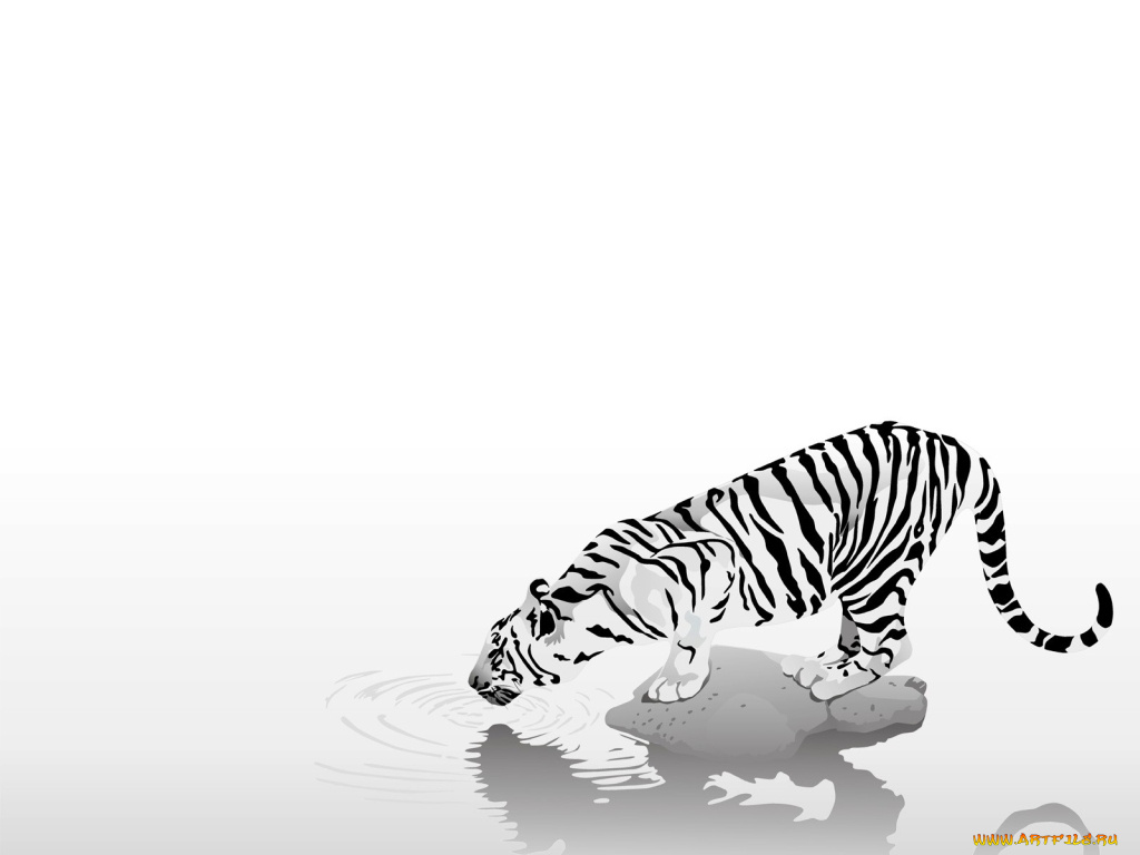 векторная, графика