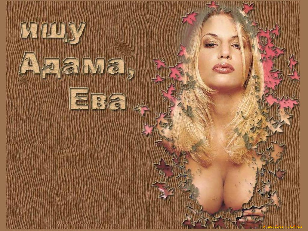 юмор, приколы