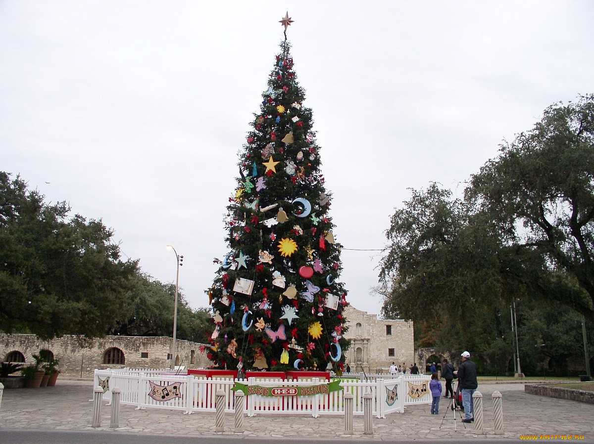 праздничные, Ёлки