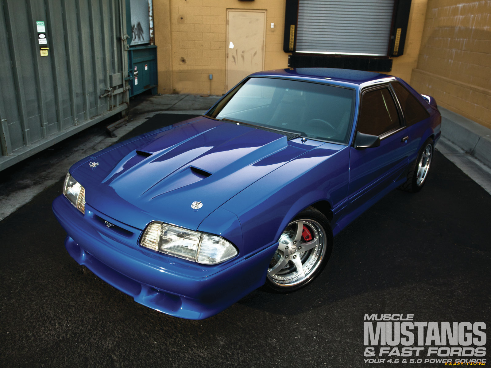 автомобили, mustang