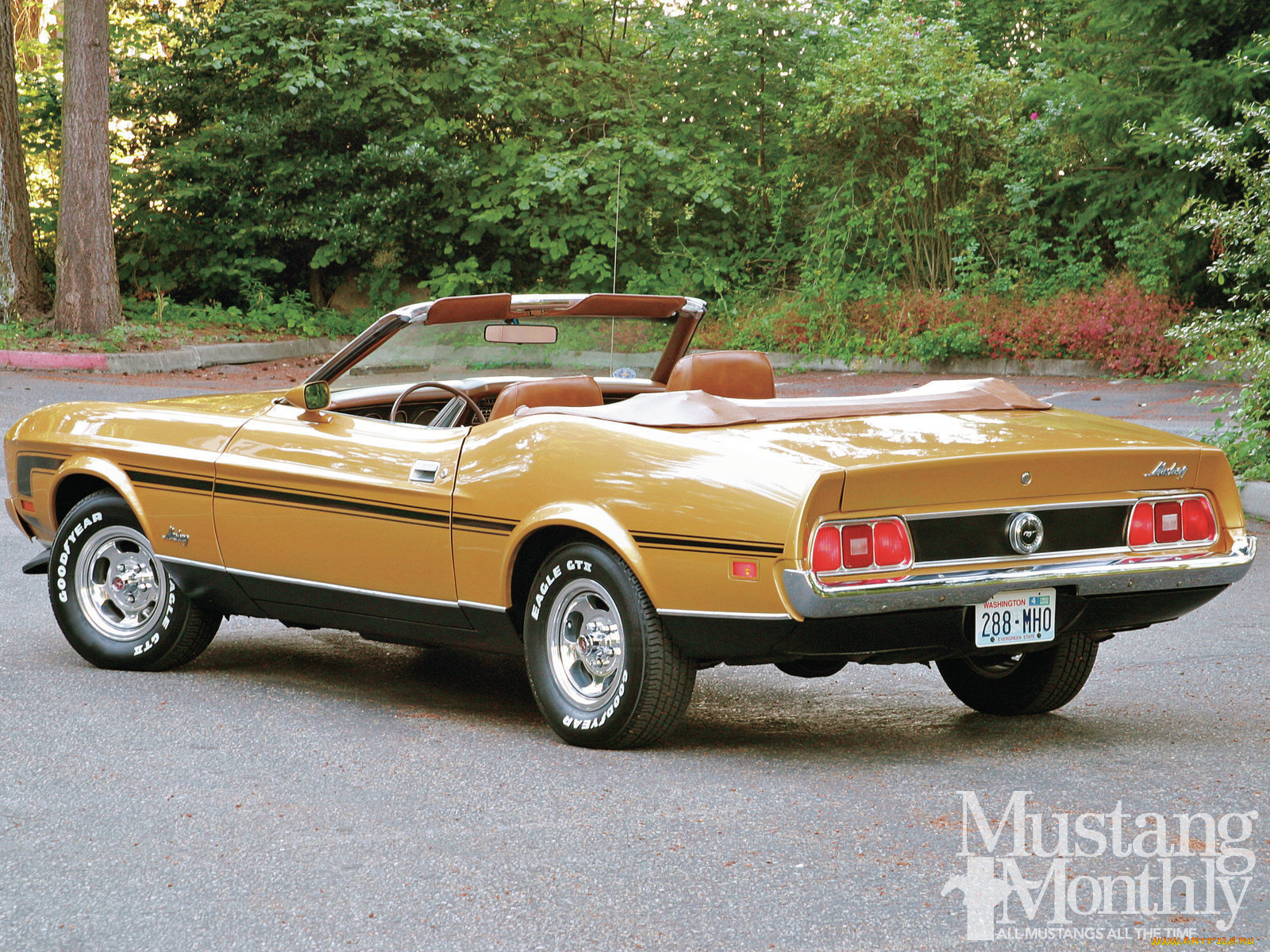 автомобили, mustang, convertible