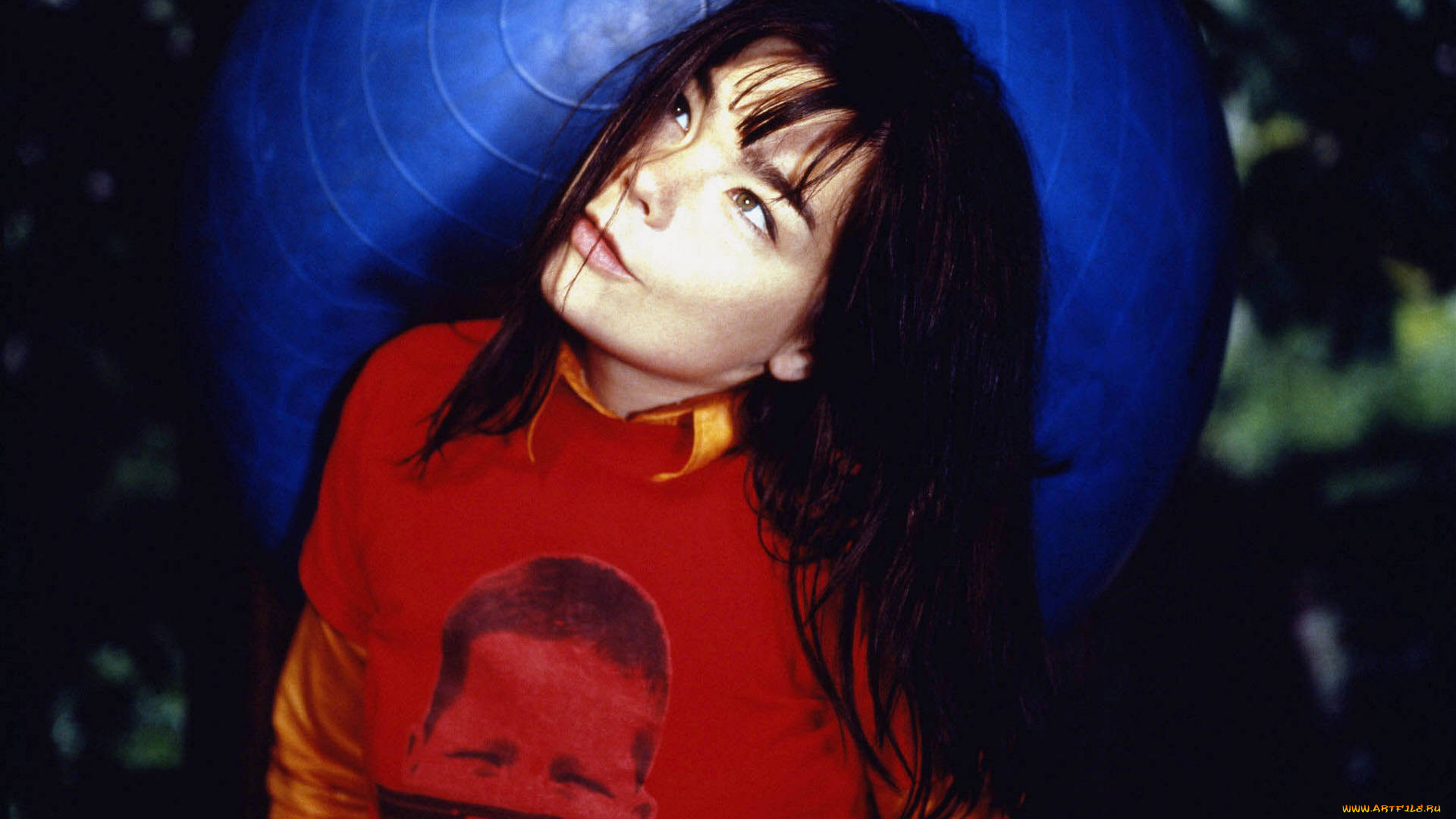 музыка, bjork, задумчивость