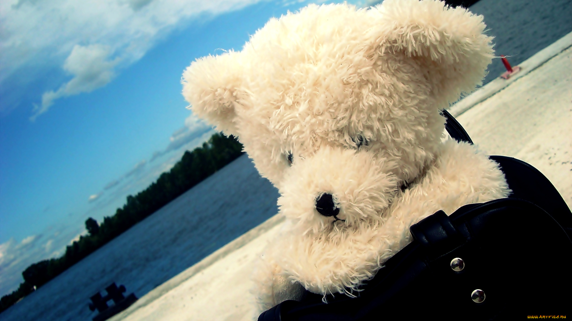 разное, игрушки, река, берег, сумка, медвежонок