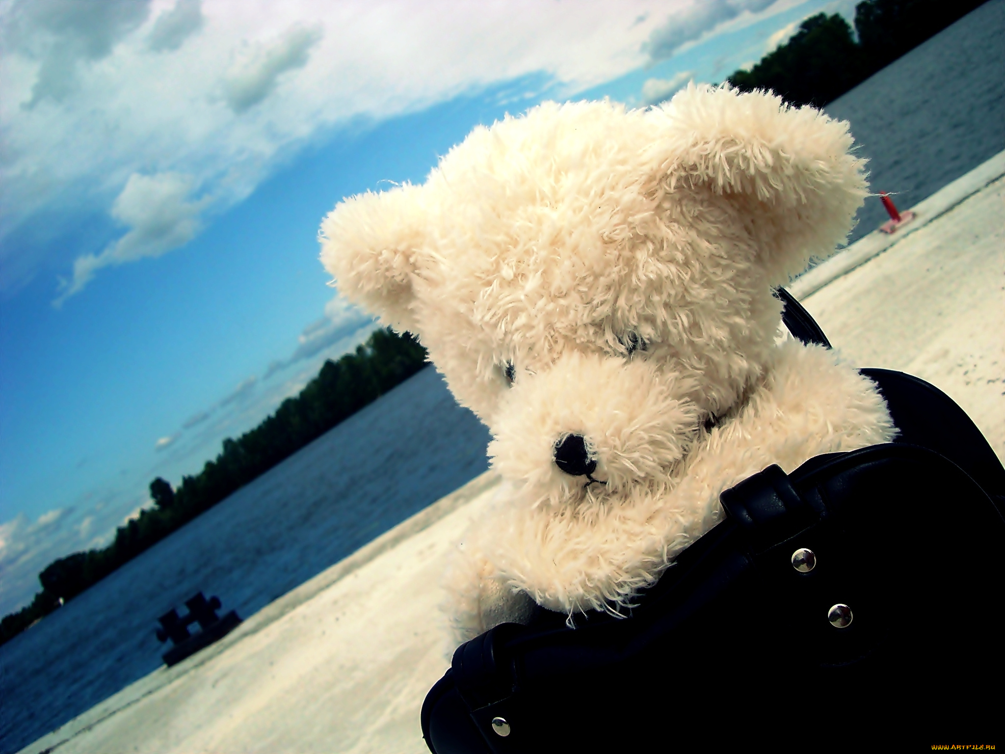 разное, игрушки, река, берег, сумка, медвежонок