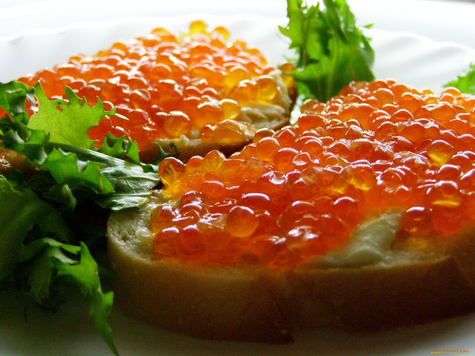 еда, икра, бутерброды