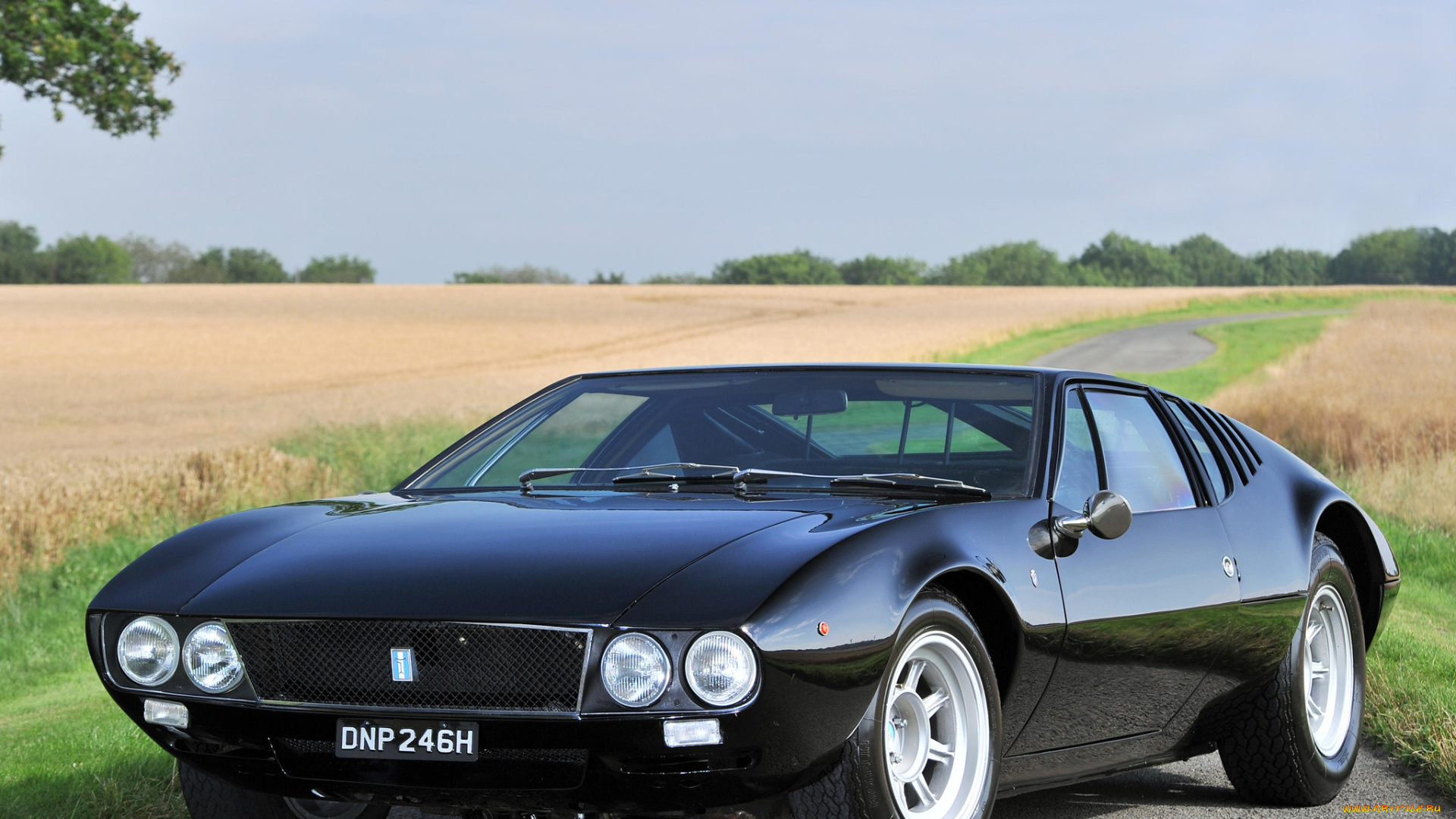 автомобили, de, tomaso, detomaso