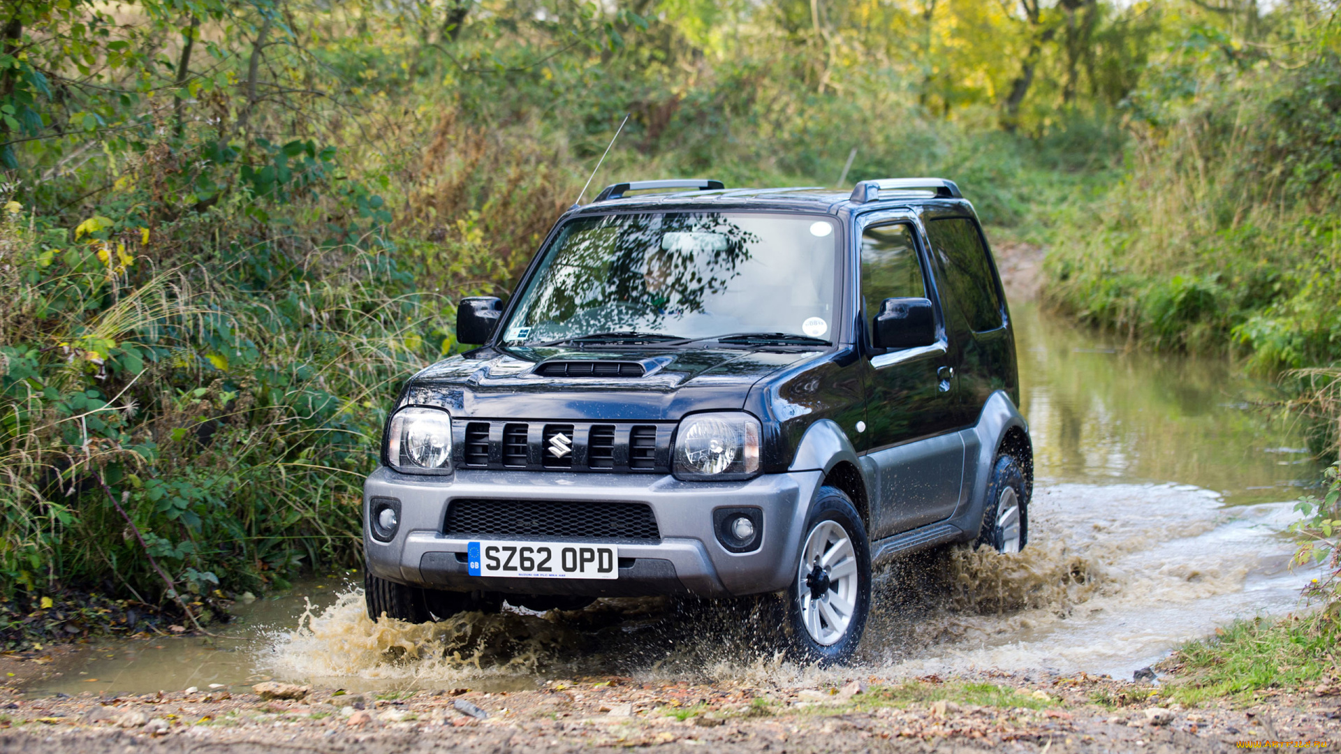 автомобили, suzuki