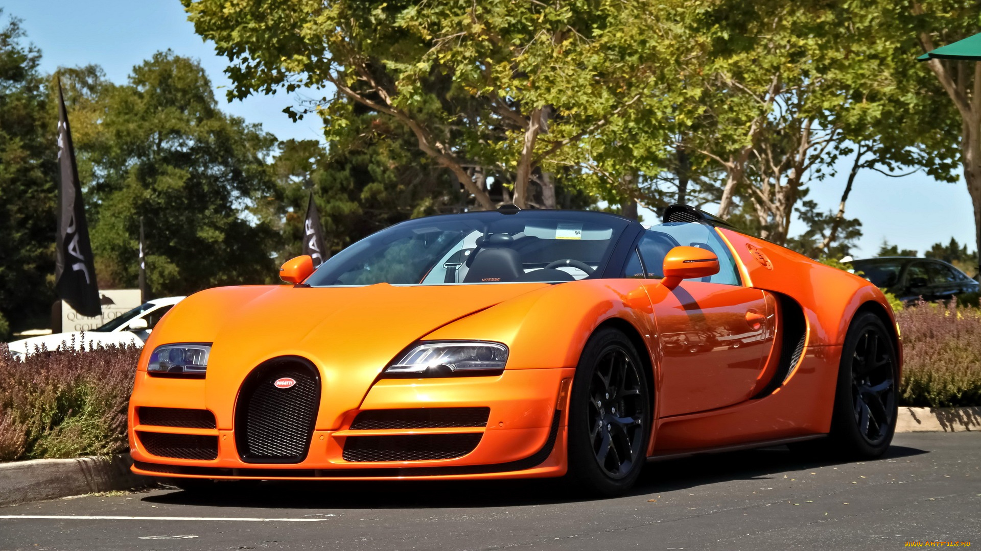 bugatti, veyron, автомобили