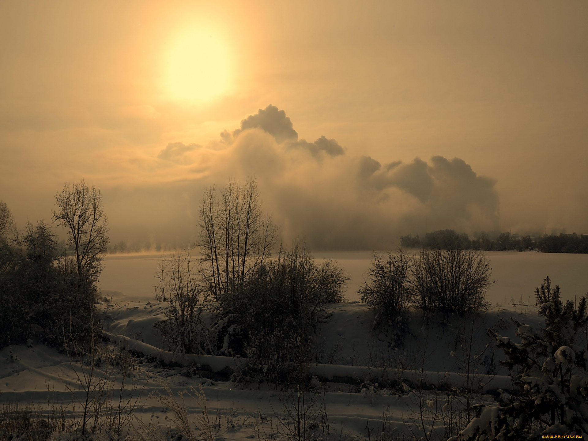 природа, зима, вечер, лес, снег, солнце