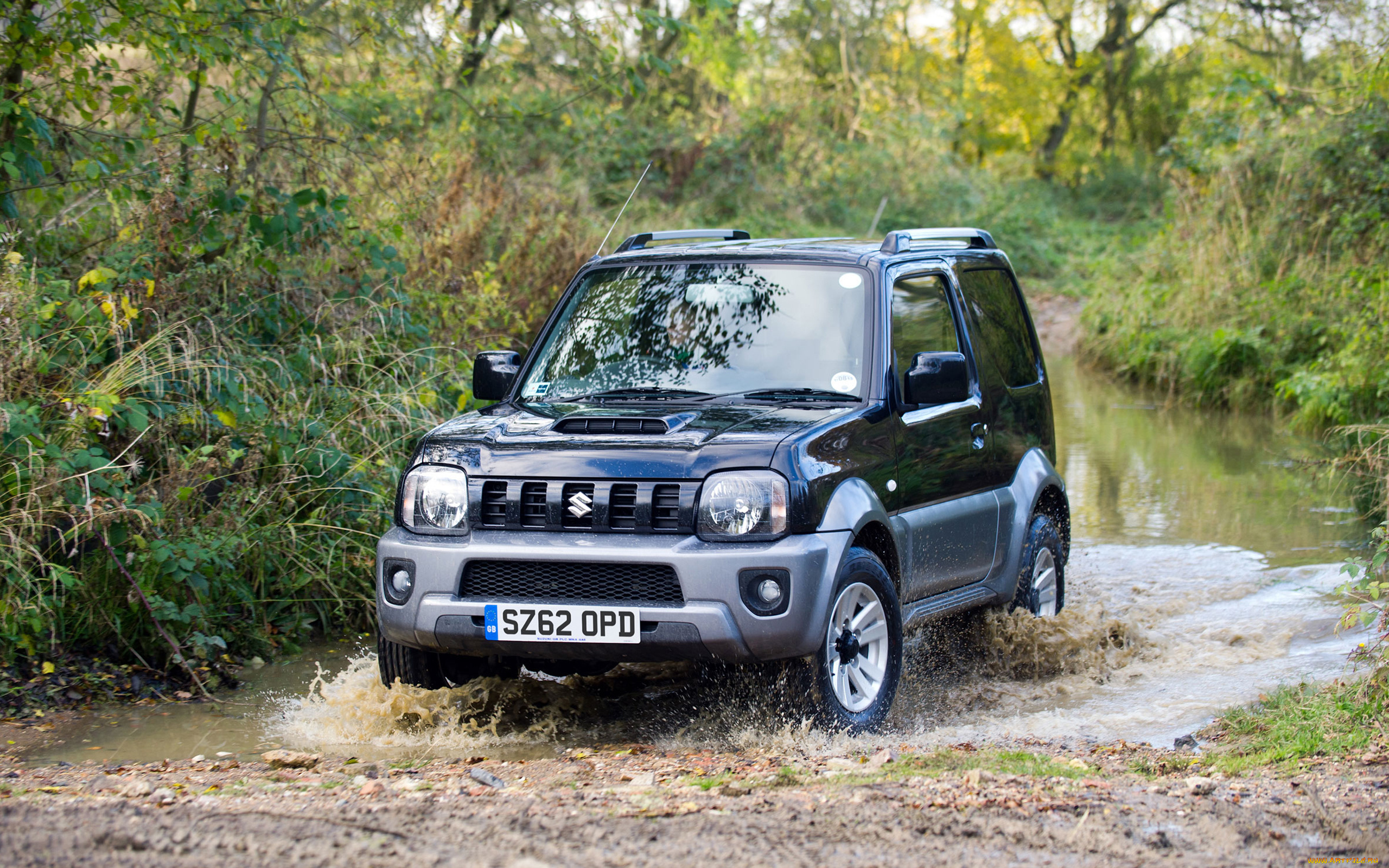 автомобили, suzuki