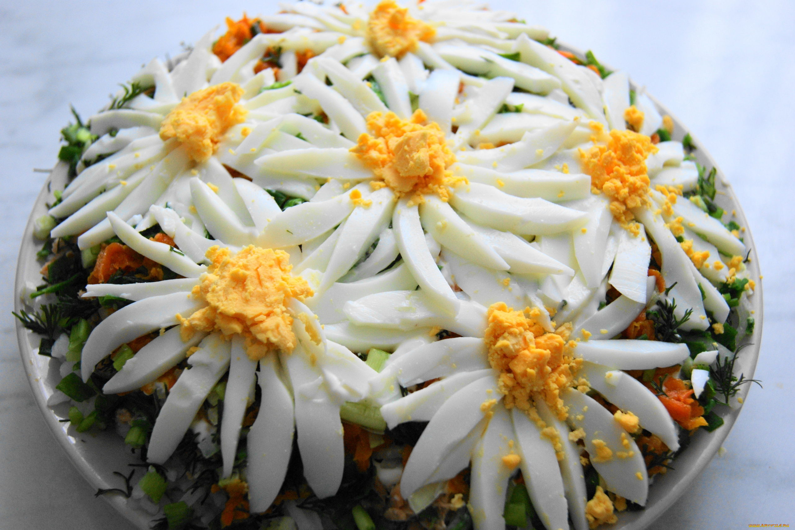 еда, салаты, закуски, ромашковое, поле