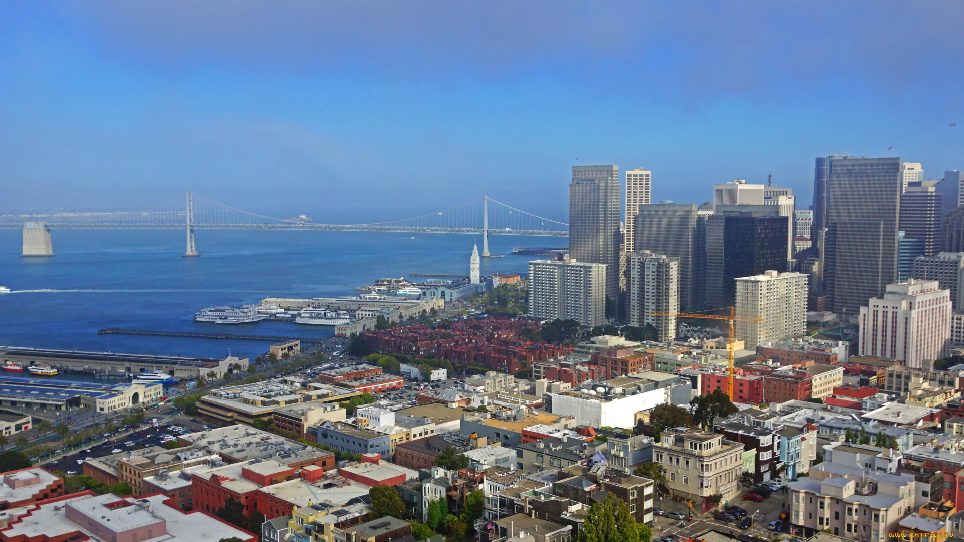 города, сан-франциско, , сша, море, побережье, дома, калифорния, сан-франциско, san, francisco
