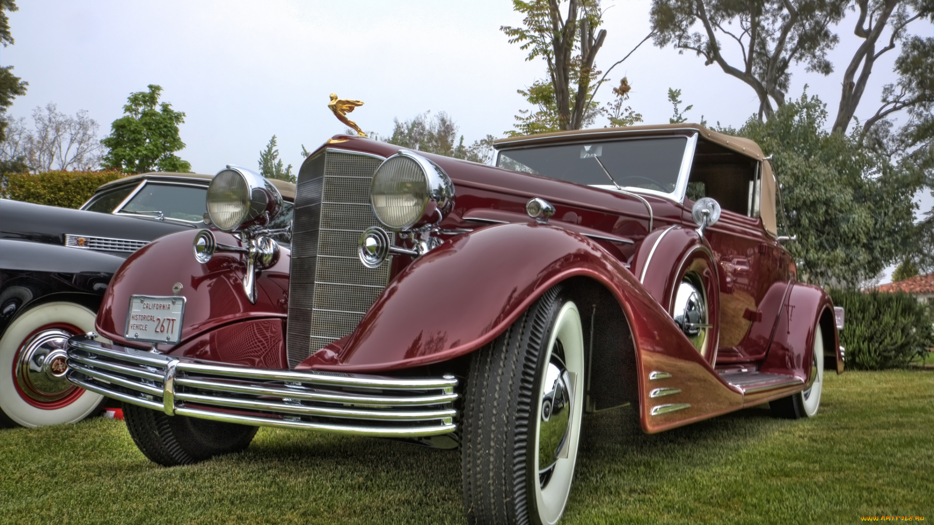 1933, cadillac, 425c, convertible, coupe, автомобили, выставки, и, уличные, фото, выставка, автошоу