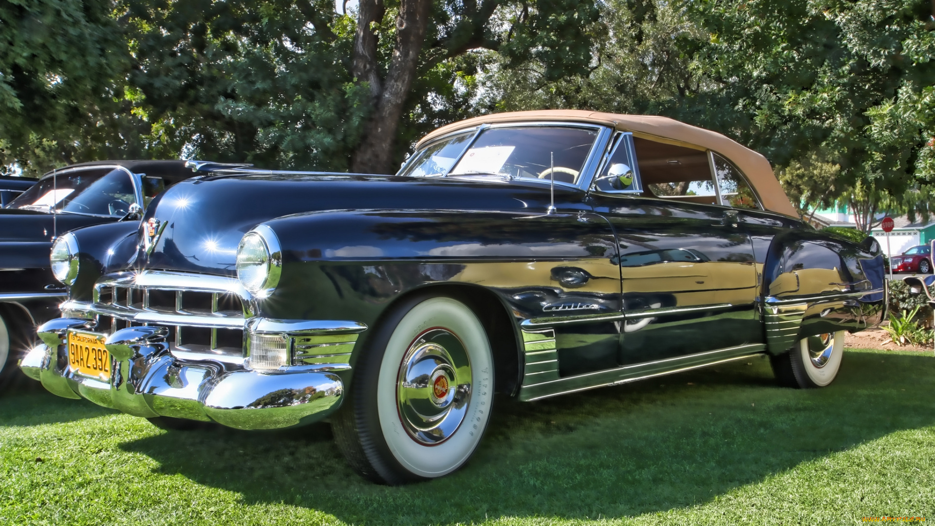 1949, cadillac, series, 62, convertible, автомобили, выставки, и, уличные, фото, выставка, автошоу