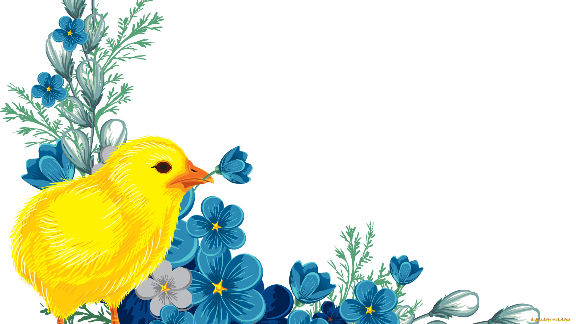 векторная, графика, животные, цветы, цыпленок, фон