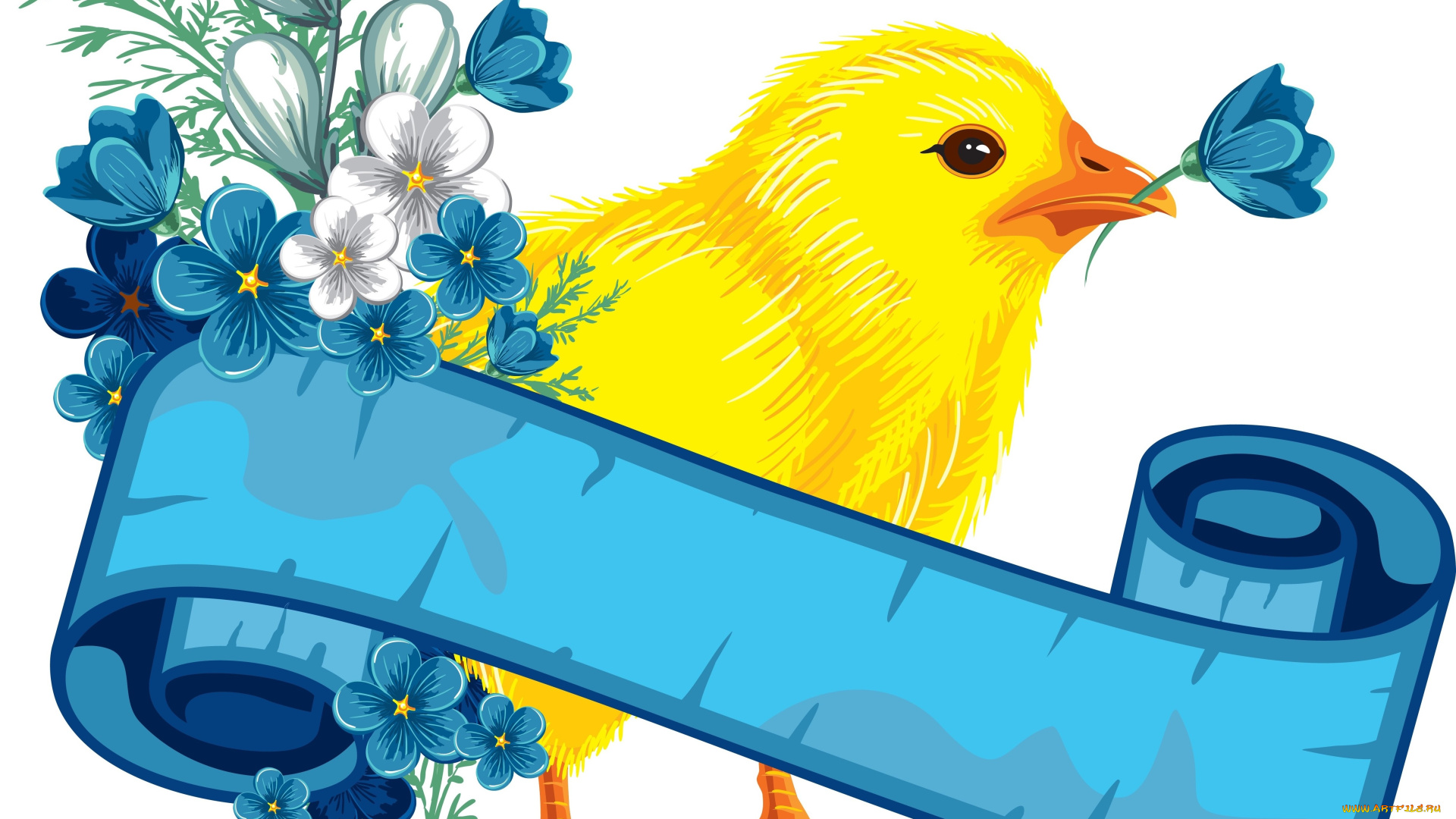 векторная, графика, животные, лента, фон, цветы, цыпленок