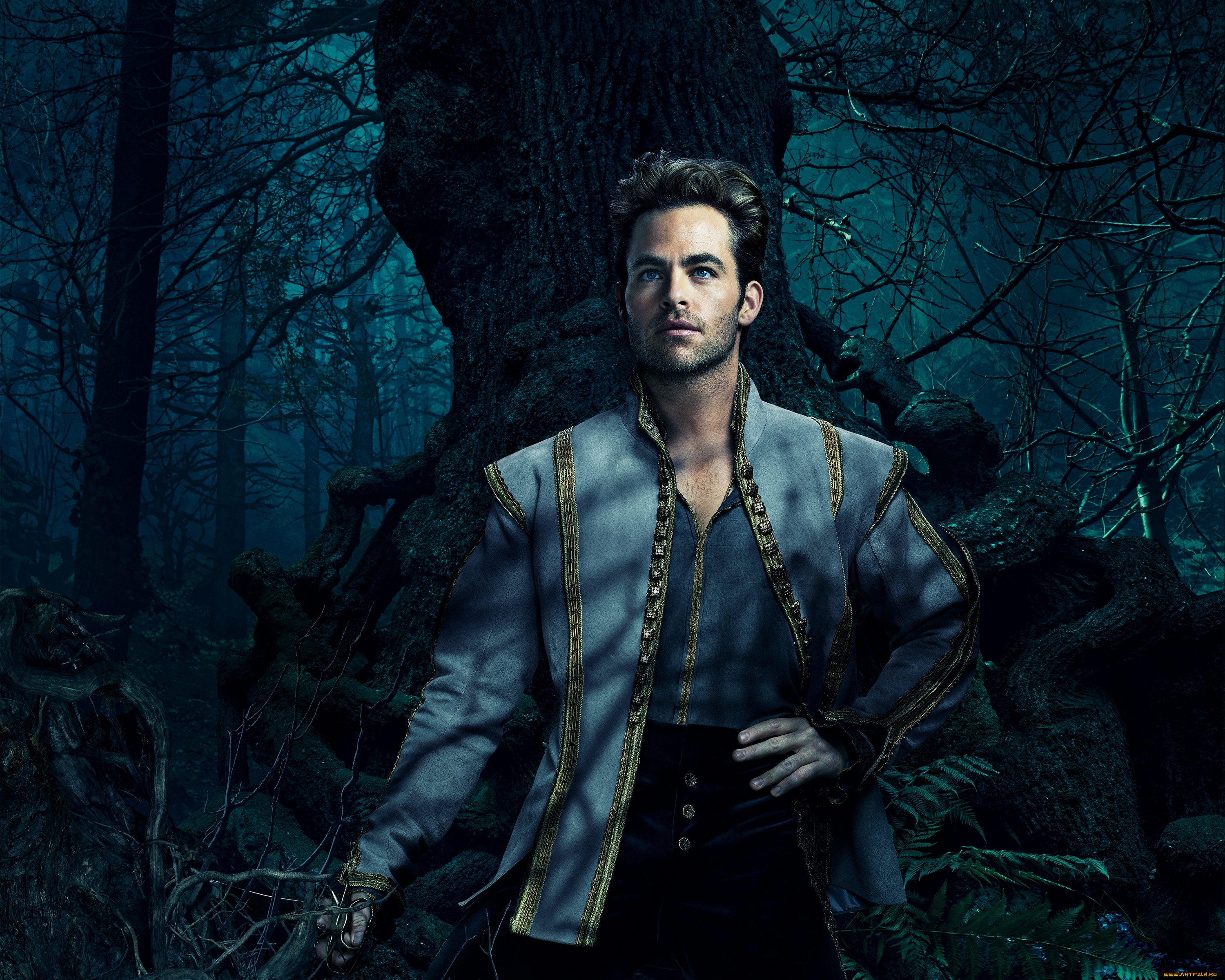 кино, фильмы, into, the, woods, дальше, woods, чем, the, into, фэнтези, мюзикл, лес, в