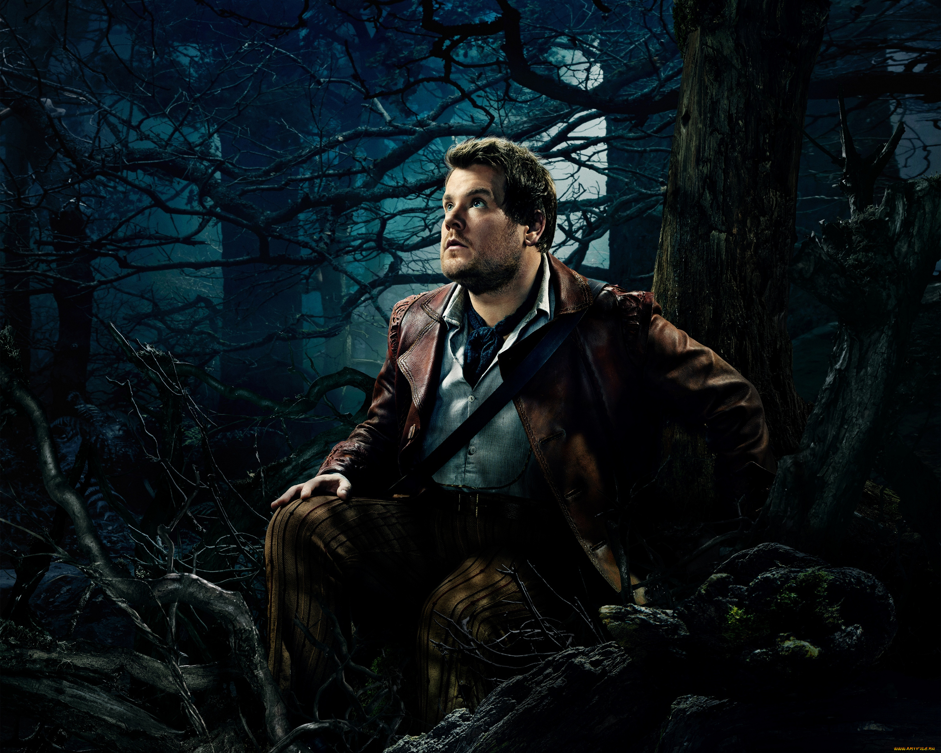 кино, фильмы, into, the, woods, into, фэнтези, мюзикл, лес, в, дальше, чем, woods, the