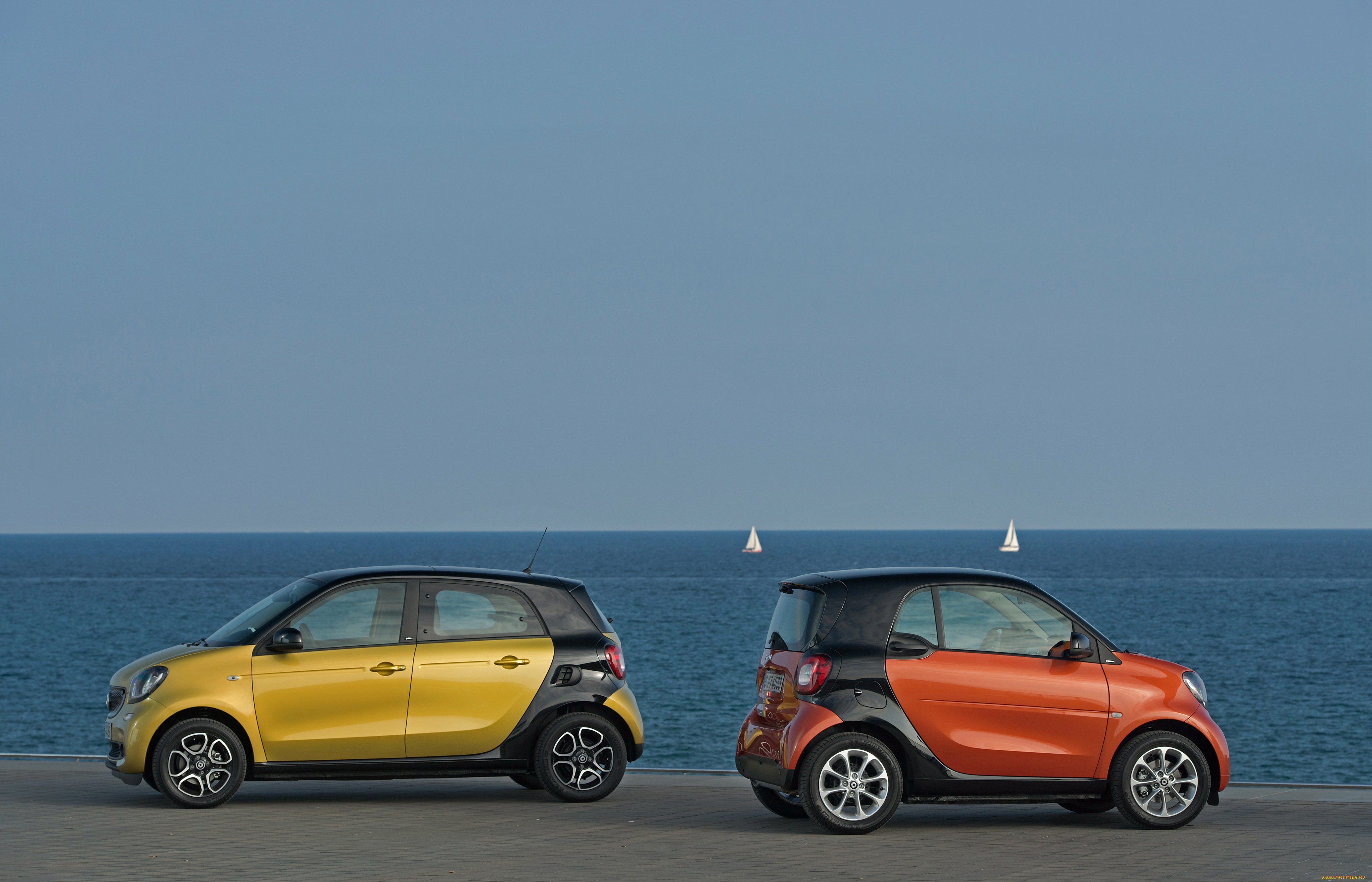 автомобили, smart