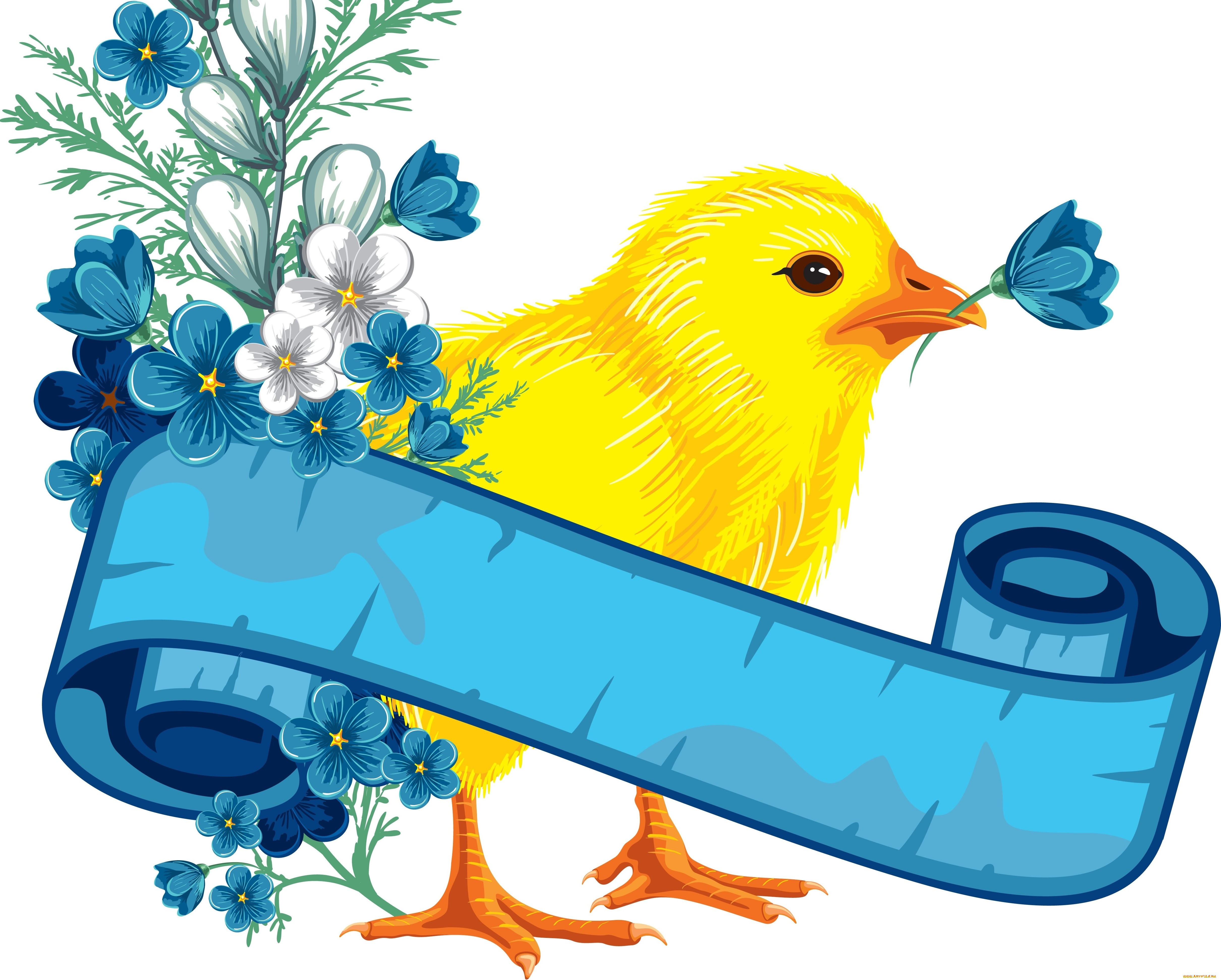 векторная, графика, животные, лента, фон, цветы, цыпленок