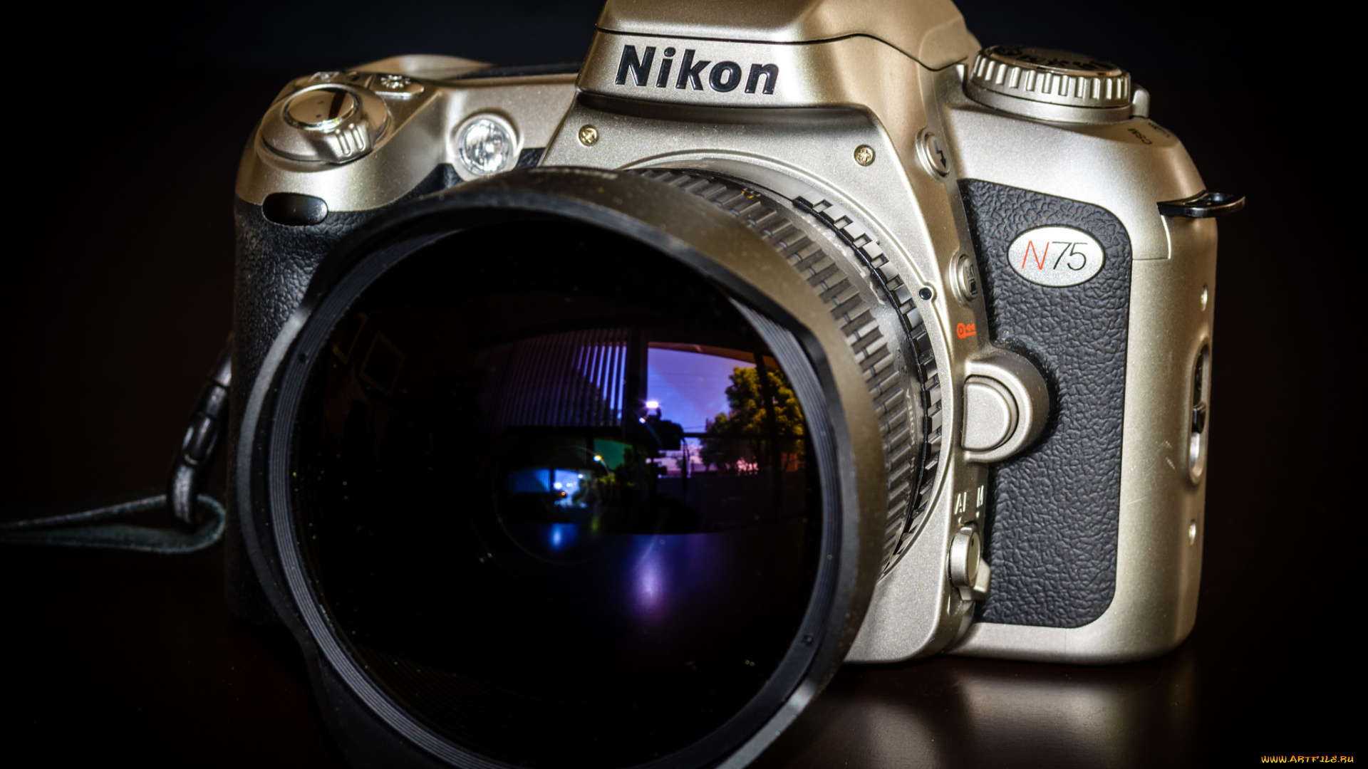 бренды, nikon, фотокамера