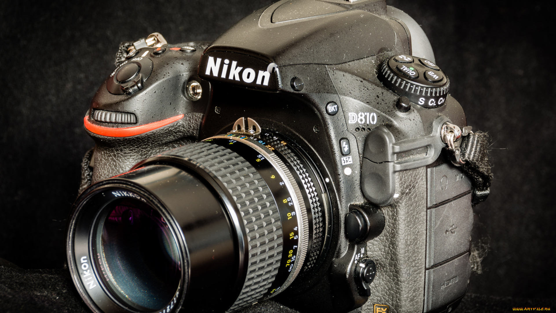 бренды, nikon, фотокамера